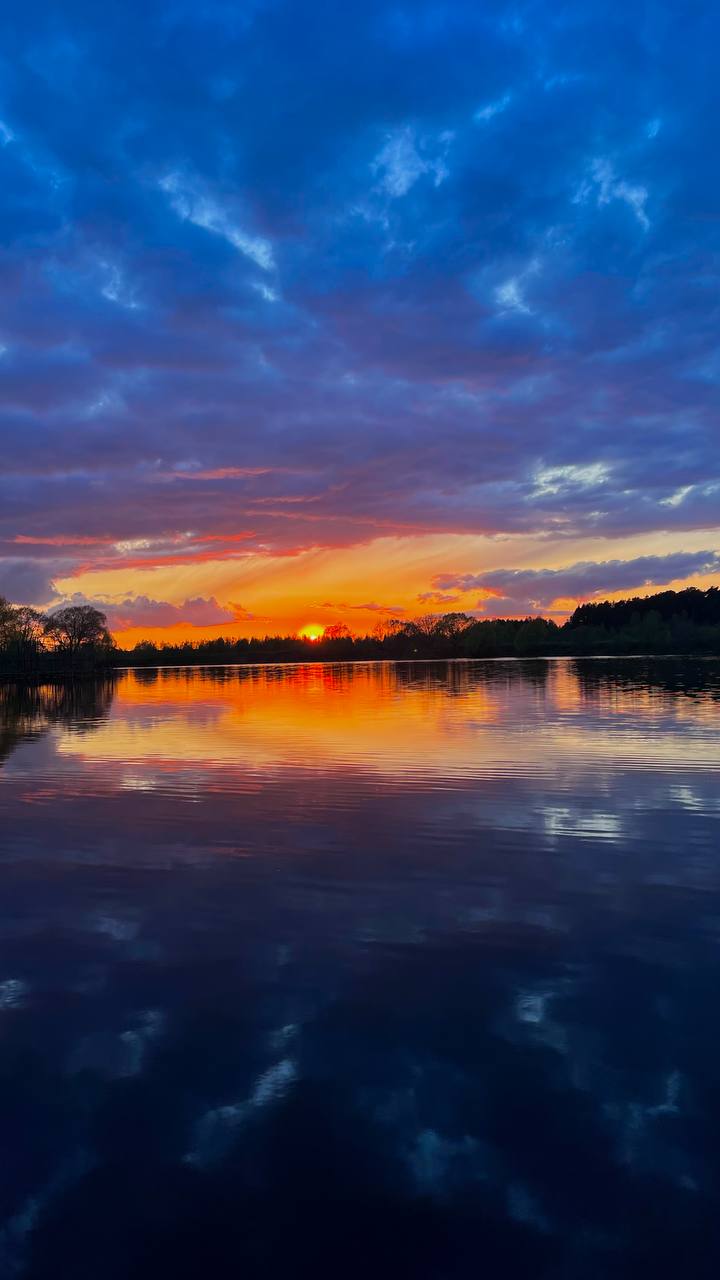 Фото HappyTreeCamp