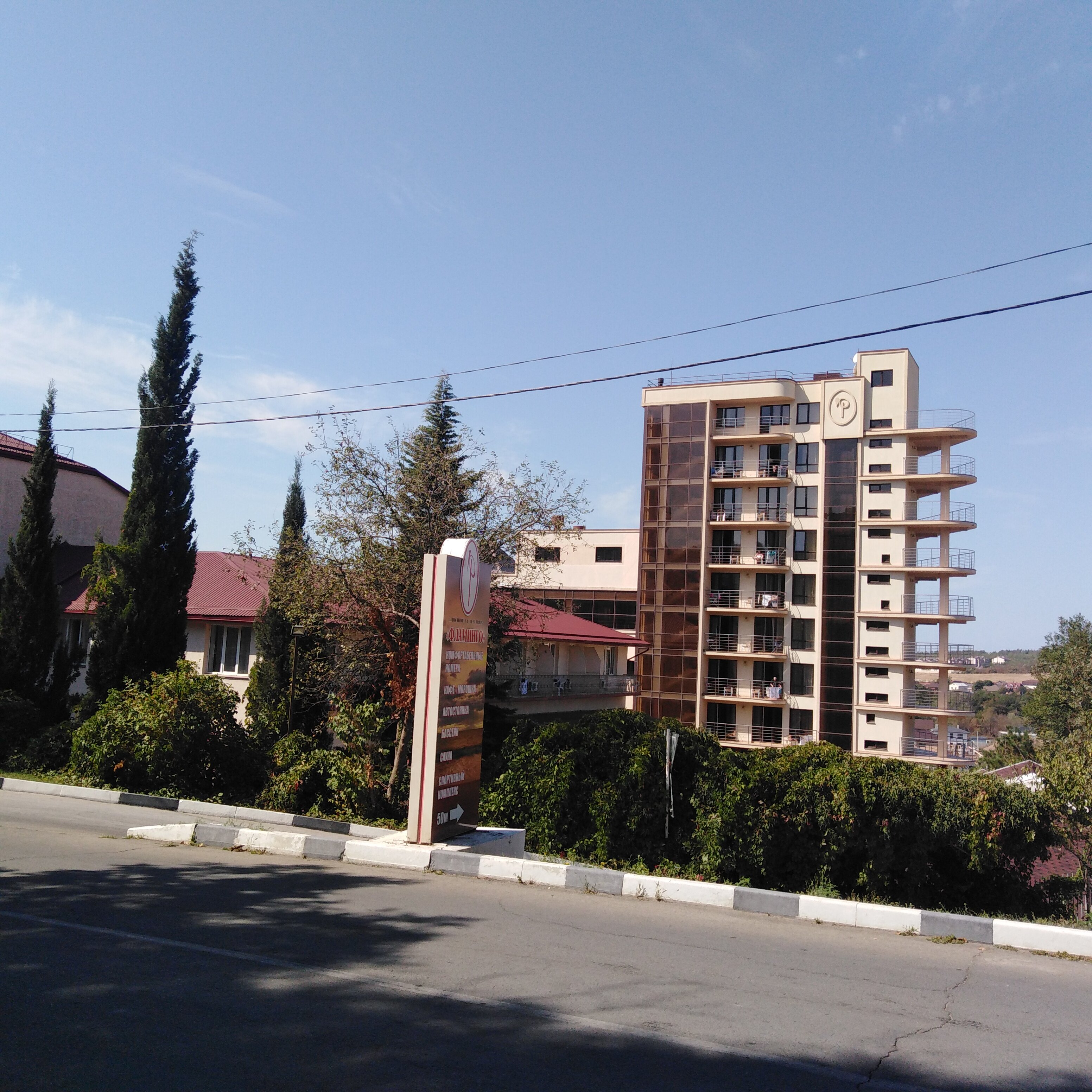 Фото Фламинго