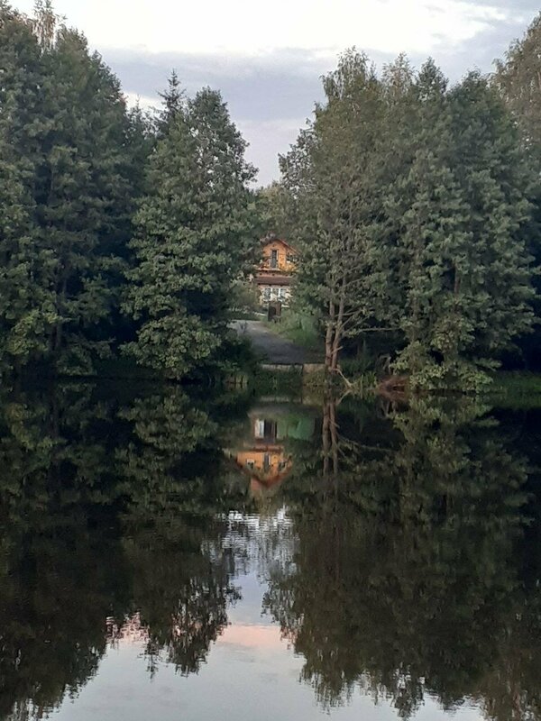 Дом лесника — фото 11