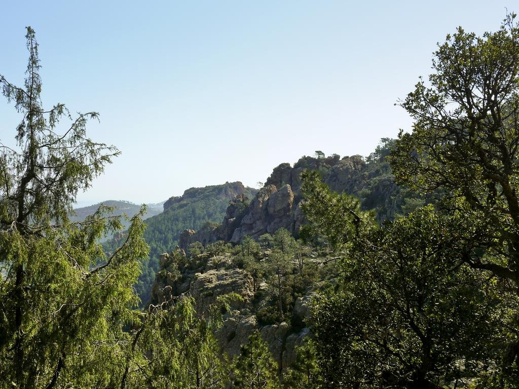 Фото B&b Hotel Cannes Mouans Sartoux