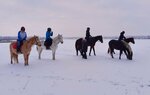 КК Саксония (Tambovskiy munitsipalny okrug, Lysogorskiy selsovet), club de caballos