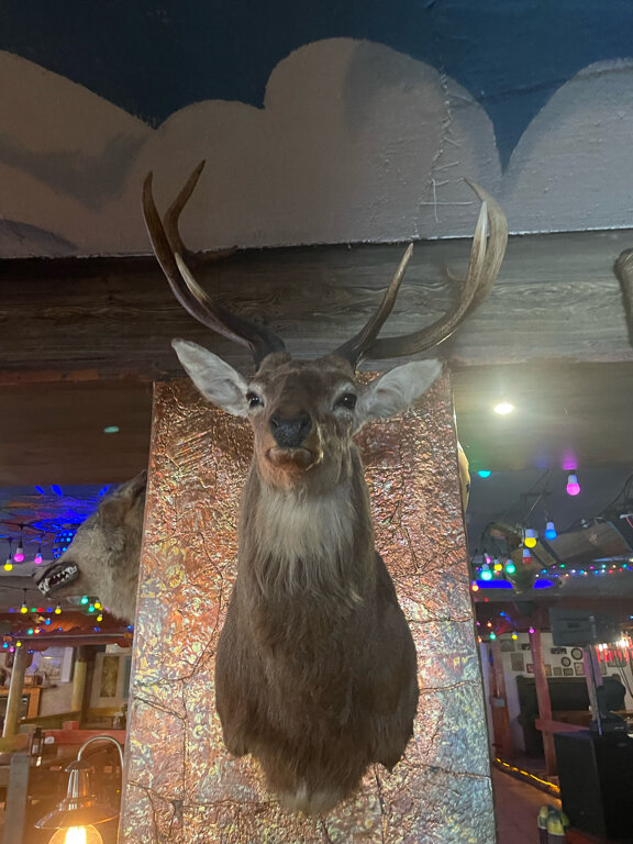 Фото Райвола