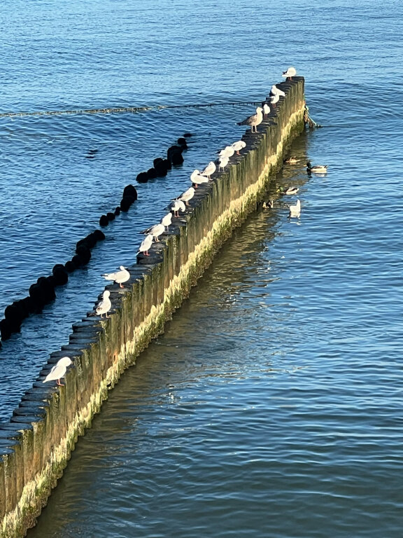 Фото More Apartments