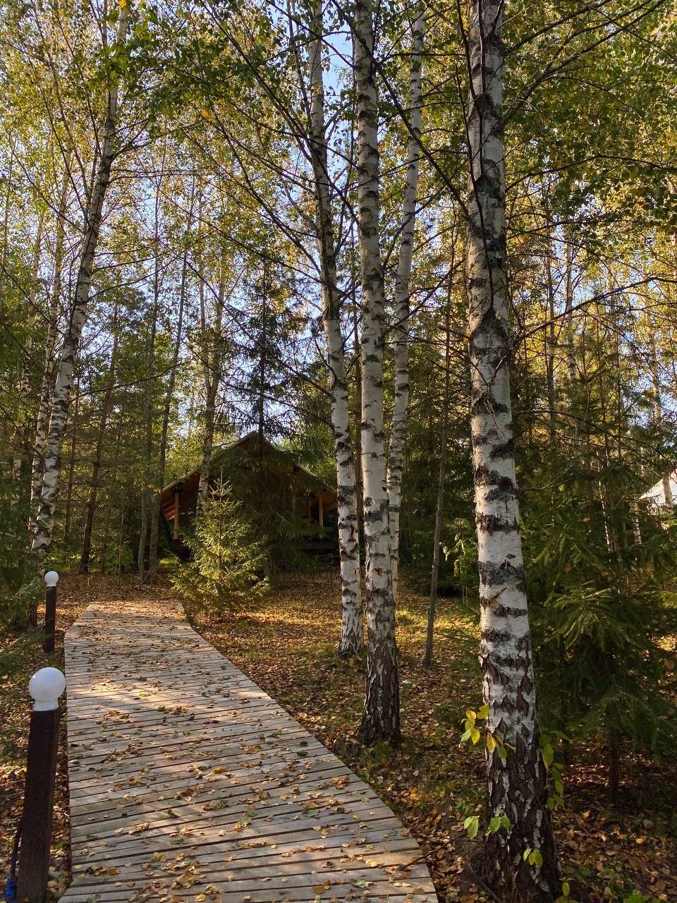 Фото Глэмпинг Видомлицы