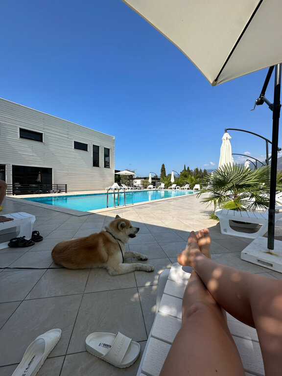 Фото Оазис Клаб Резорт Отель