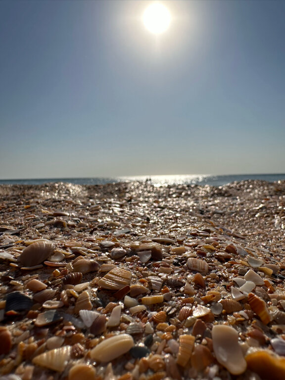 Фото МореСтиль - Экспедиция