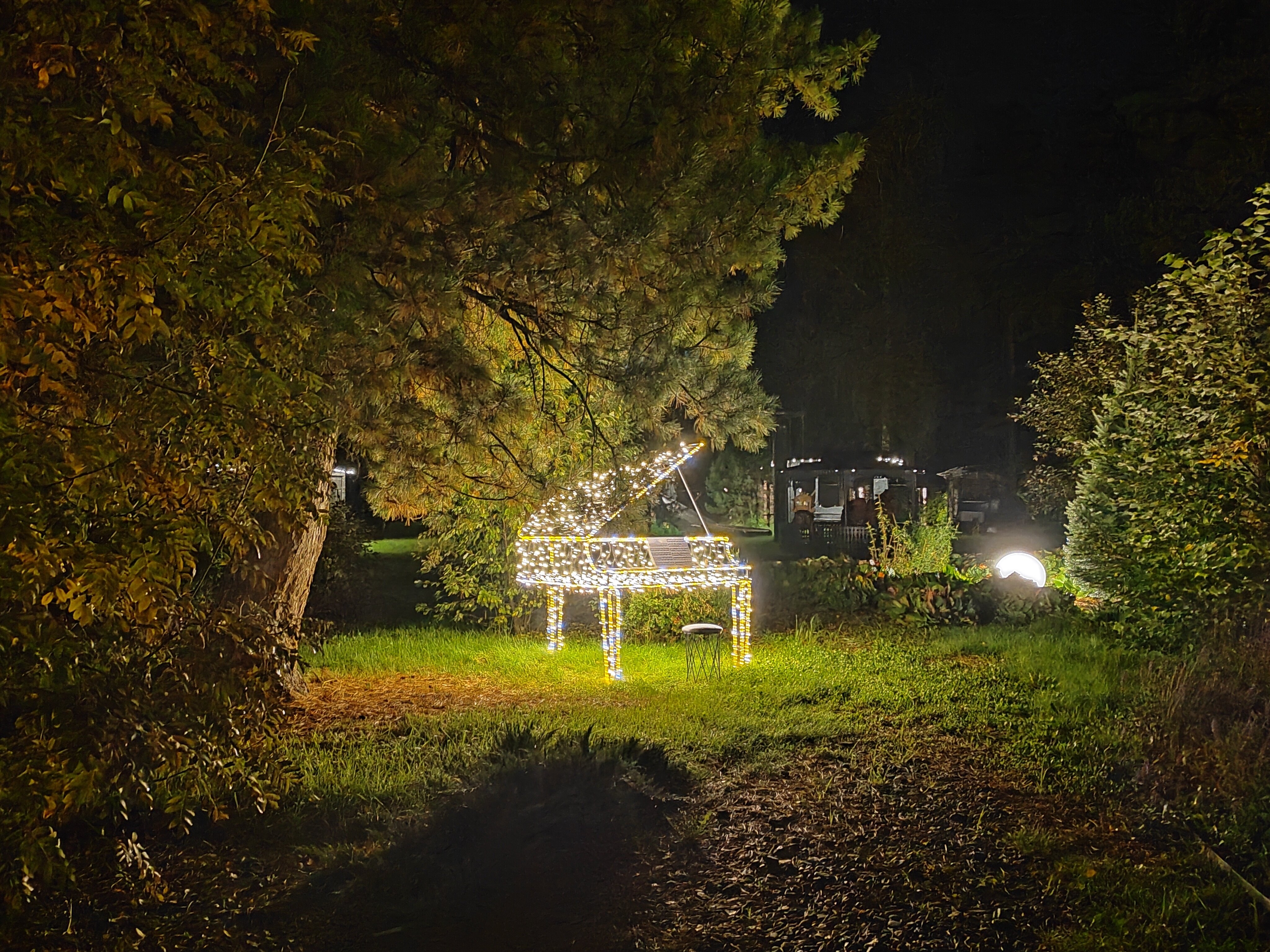 Фото Чага Дом