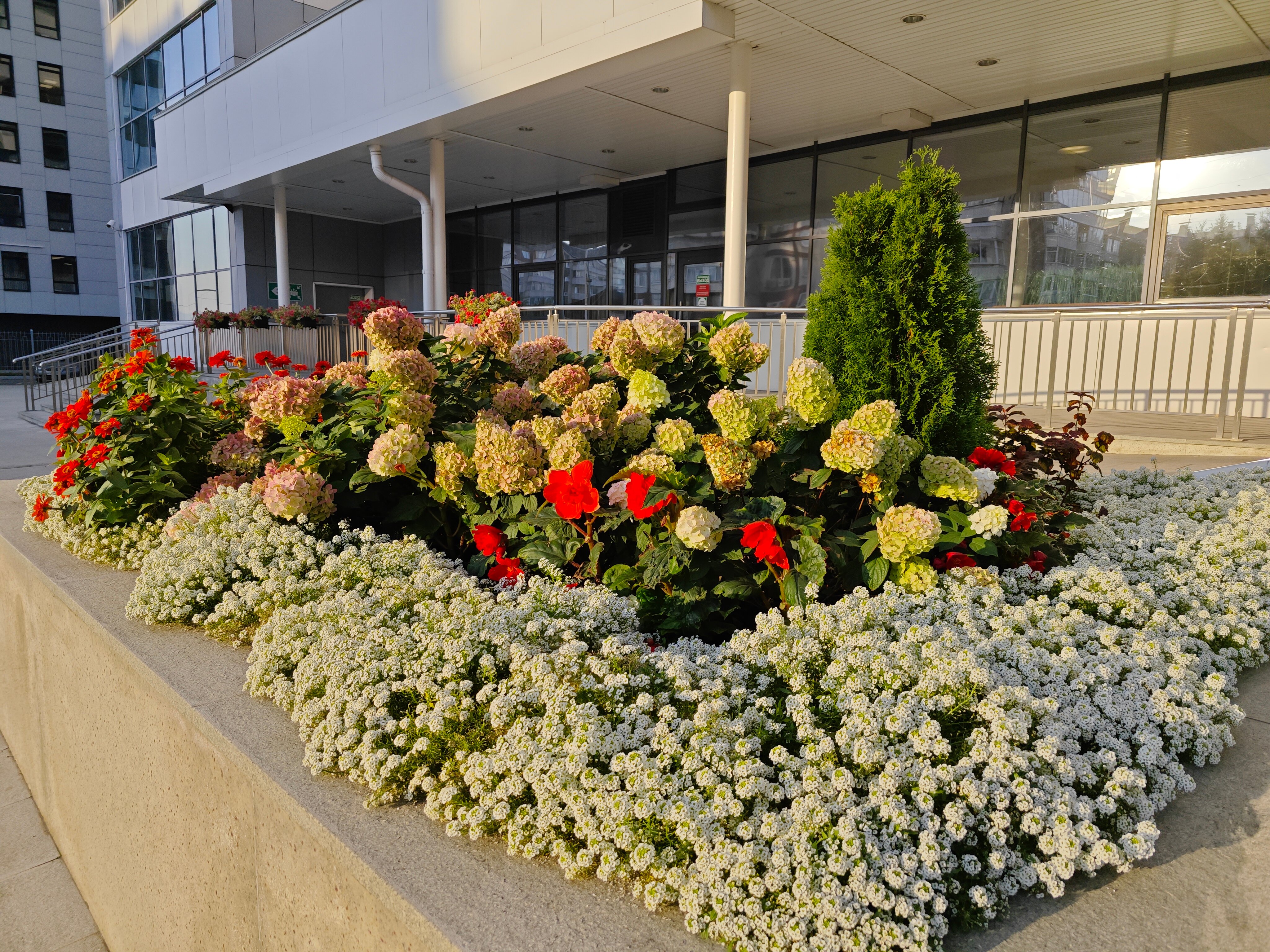 Фото Hilton Garden Inn Krasnoyarsk