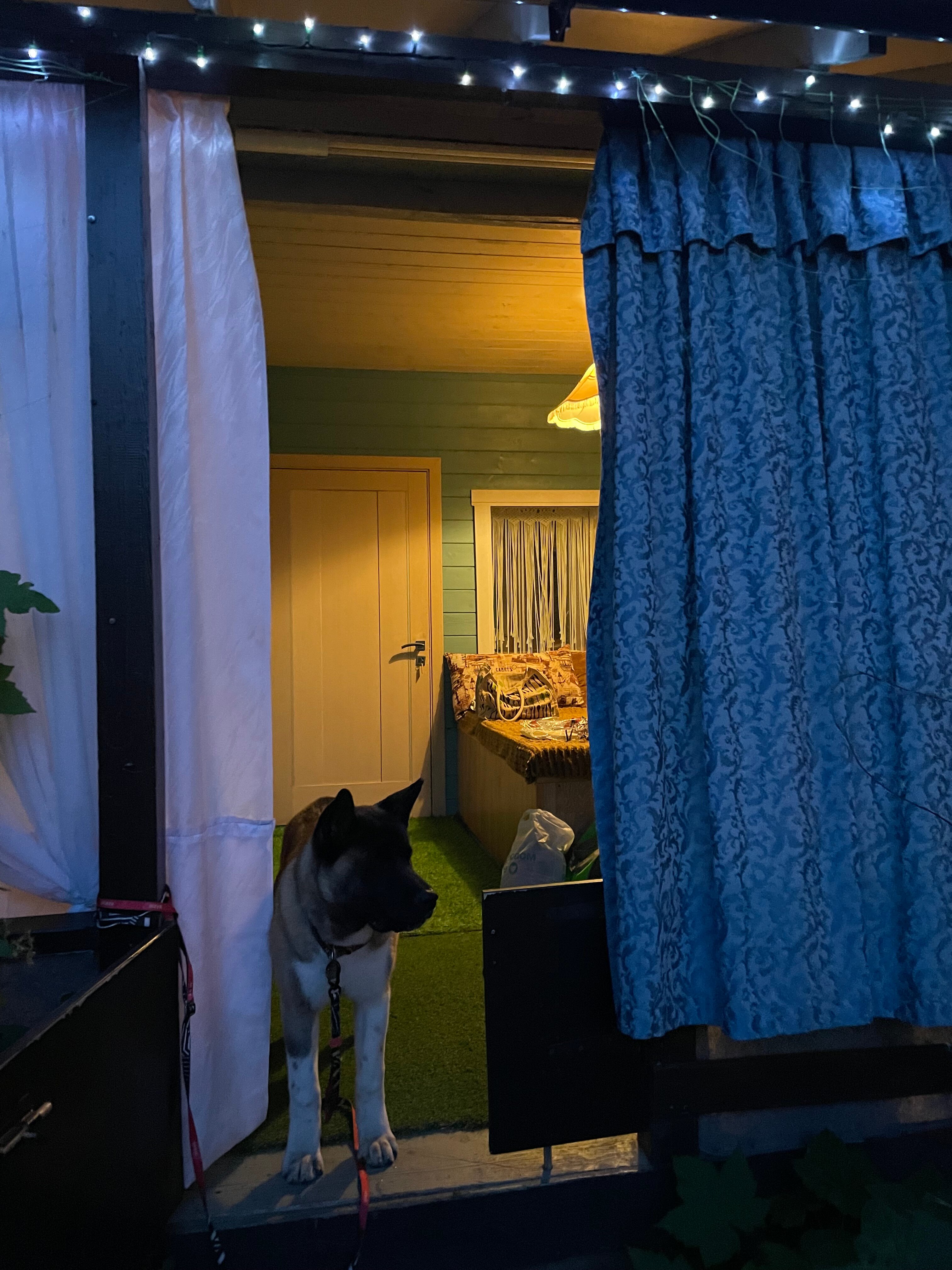 Фото Чернавинодом9