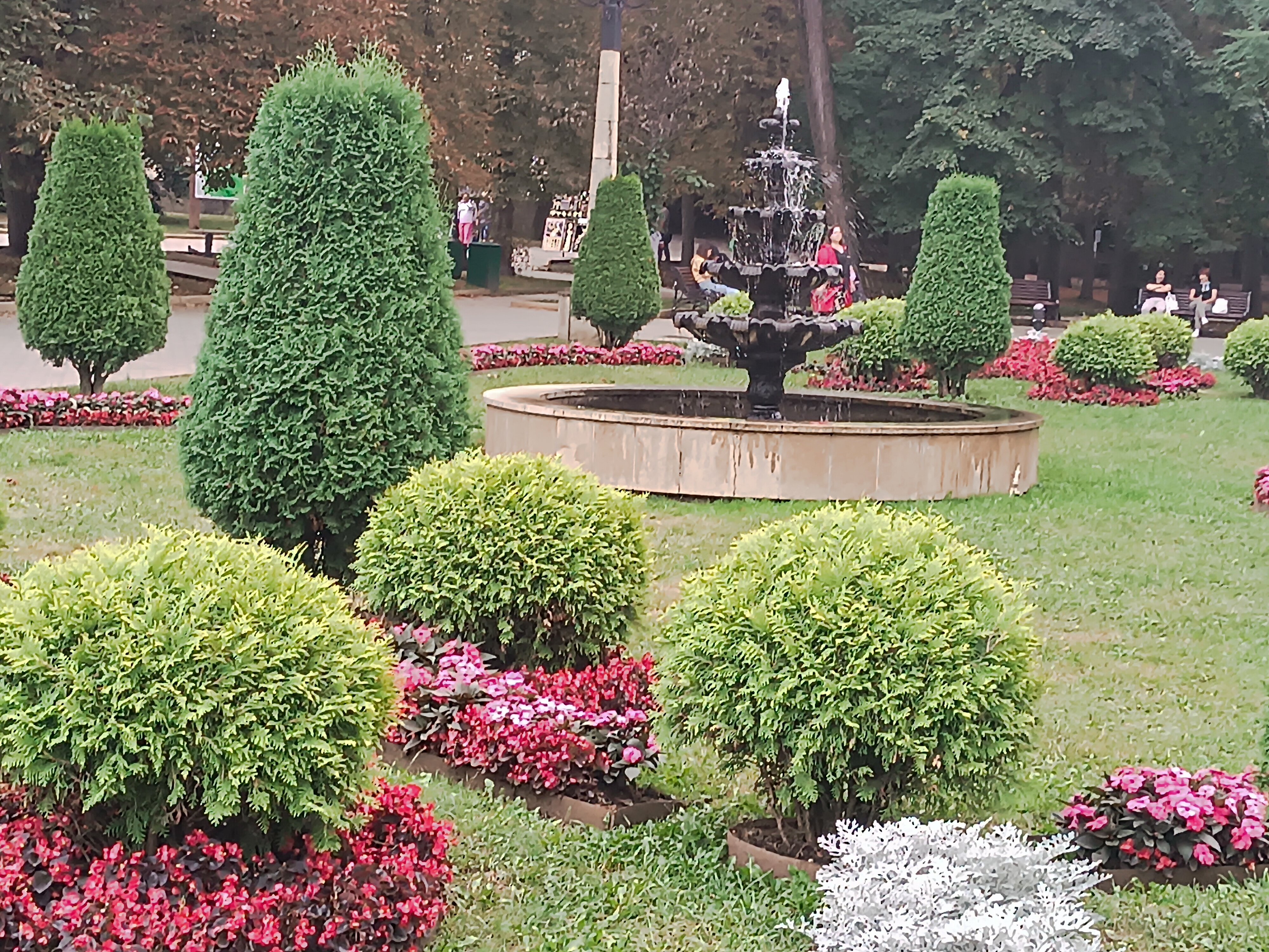 Фото Нарзан Вест