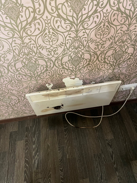 Фото Домино