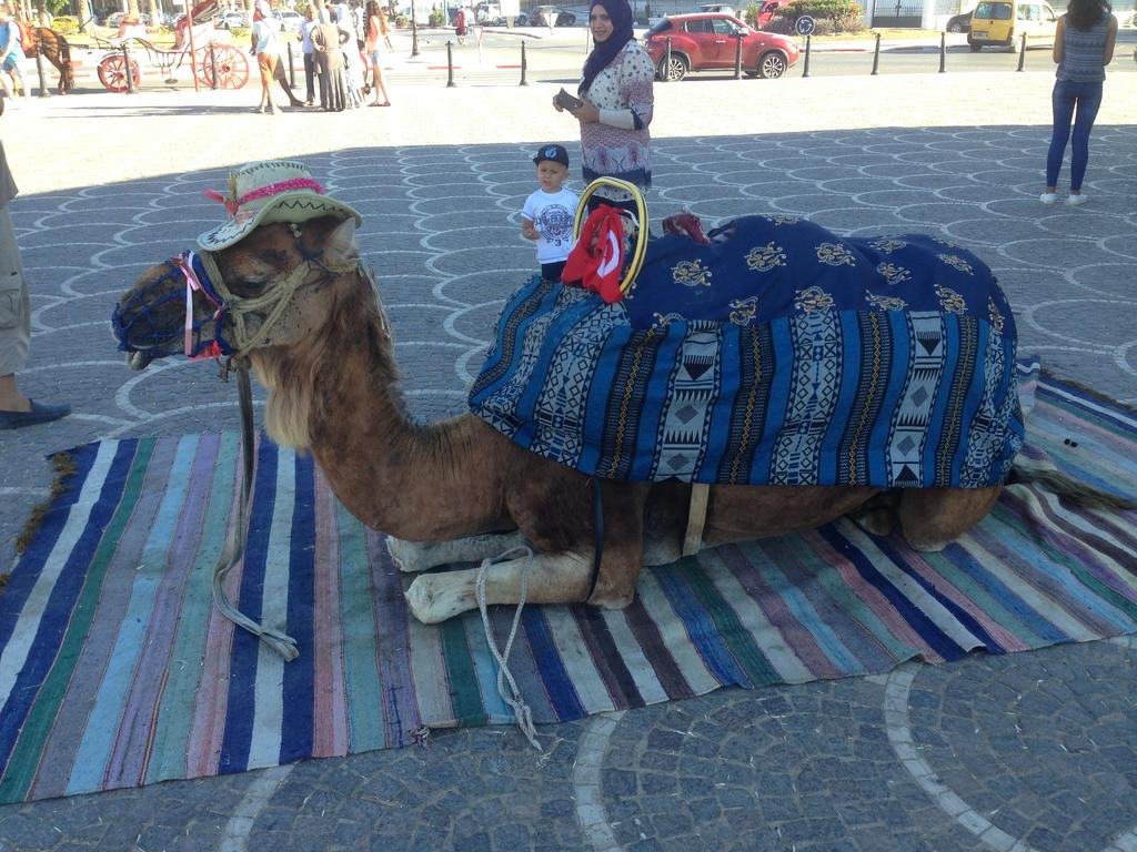 Фото Skanes Serail