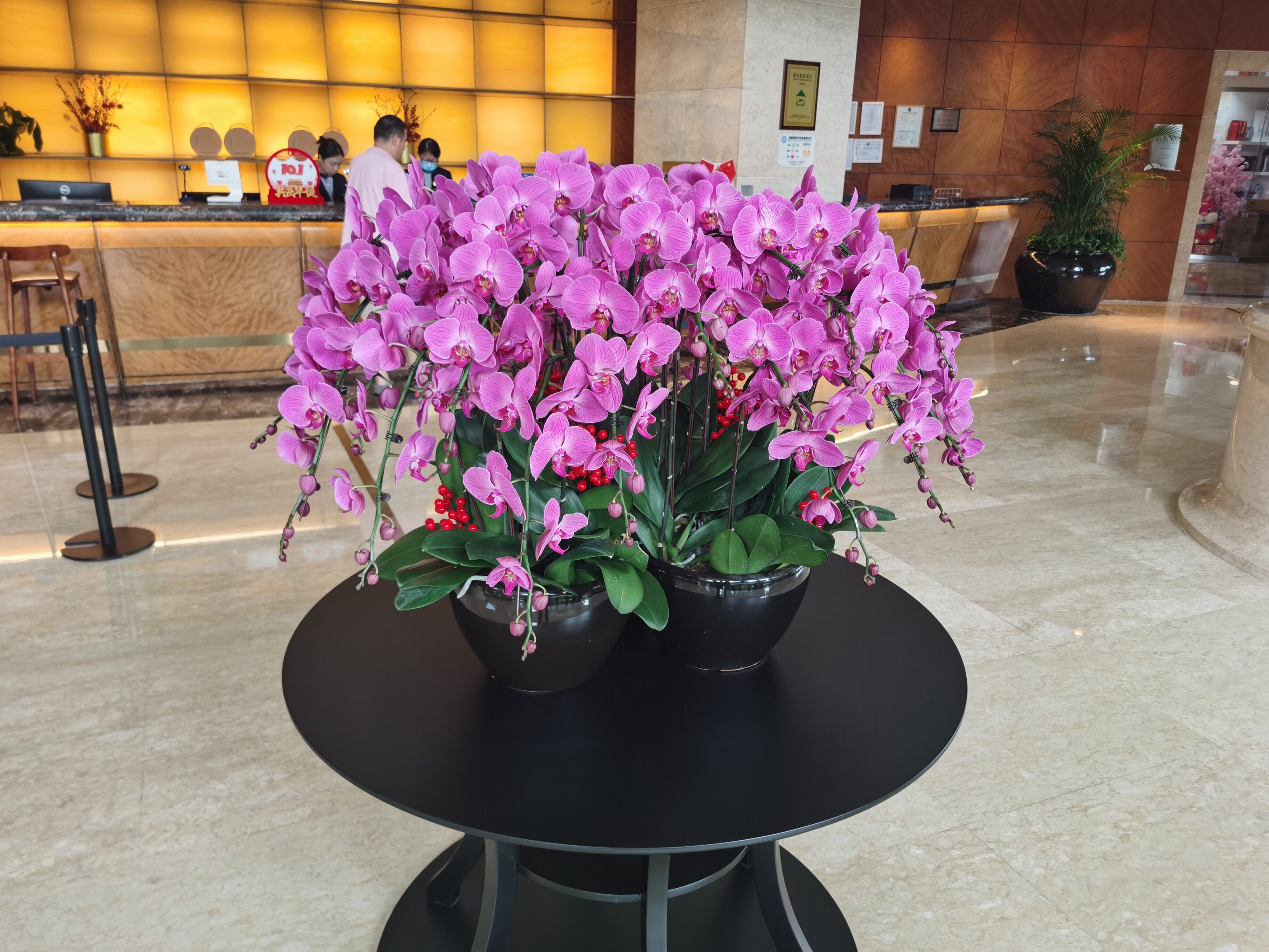 Фото Ramada Plaza by Wyndham Shanghai Pudong Airport