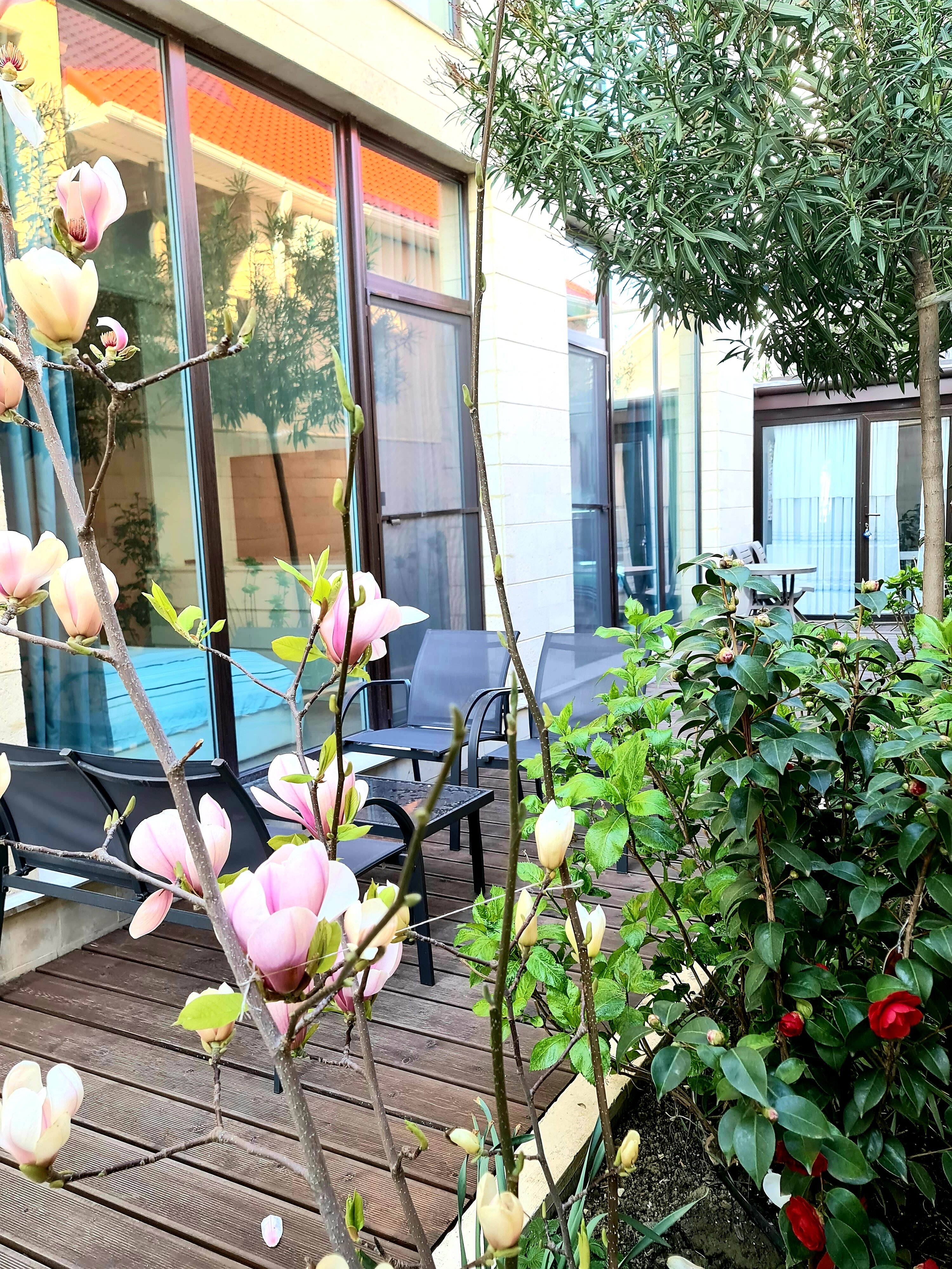 Фото Сафино Сириус