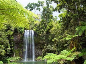 Гостиница Pullman Cairns International