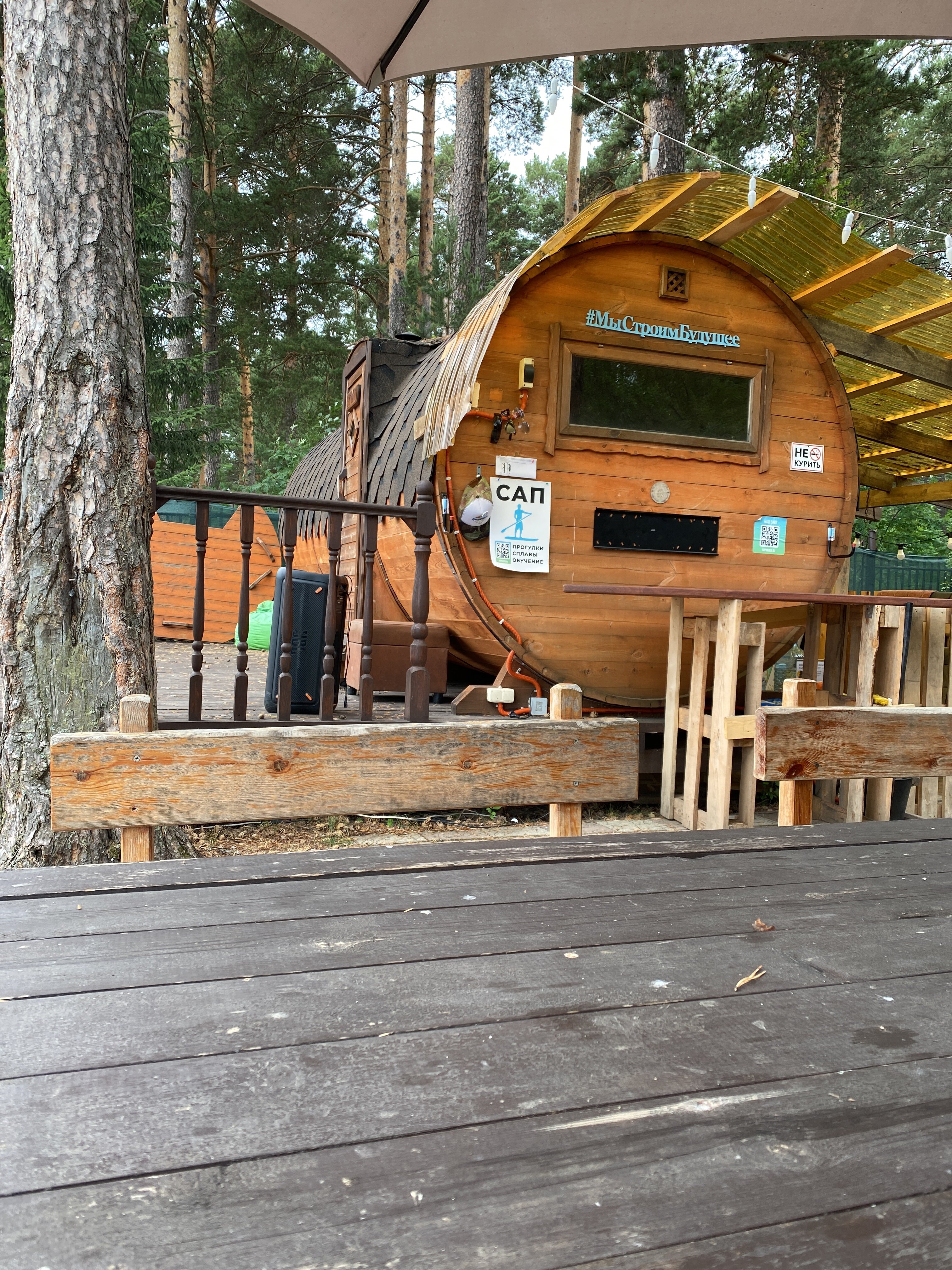 Фото Дача в соснах