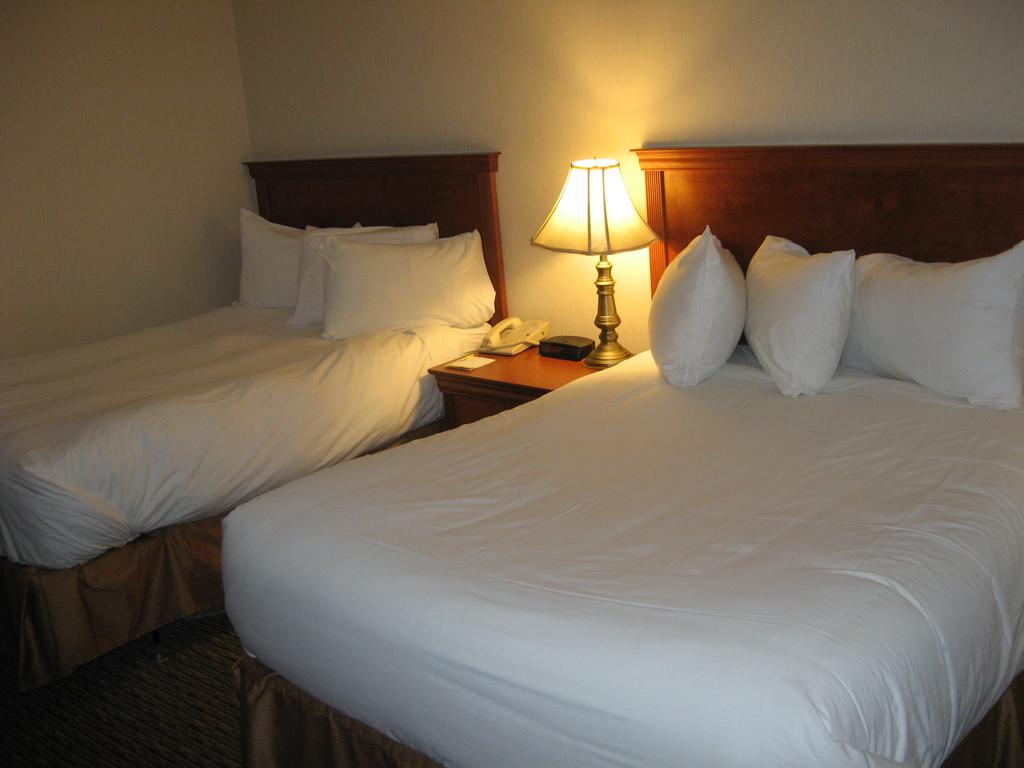 Фото Hotel Chrome Montreal Centre-Ville