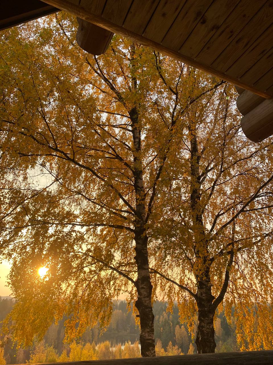 Фото Усадьба Пан Фазан