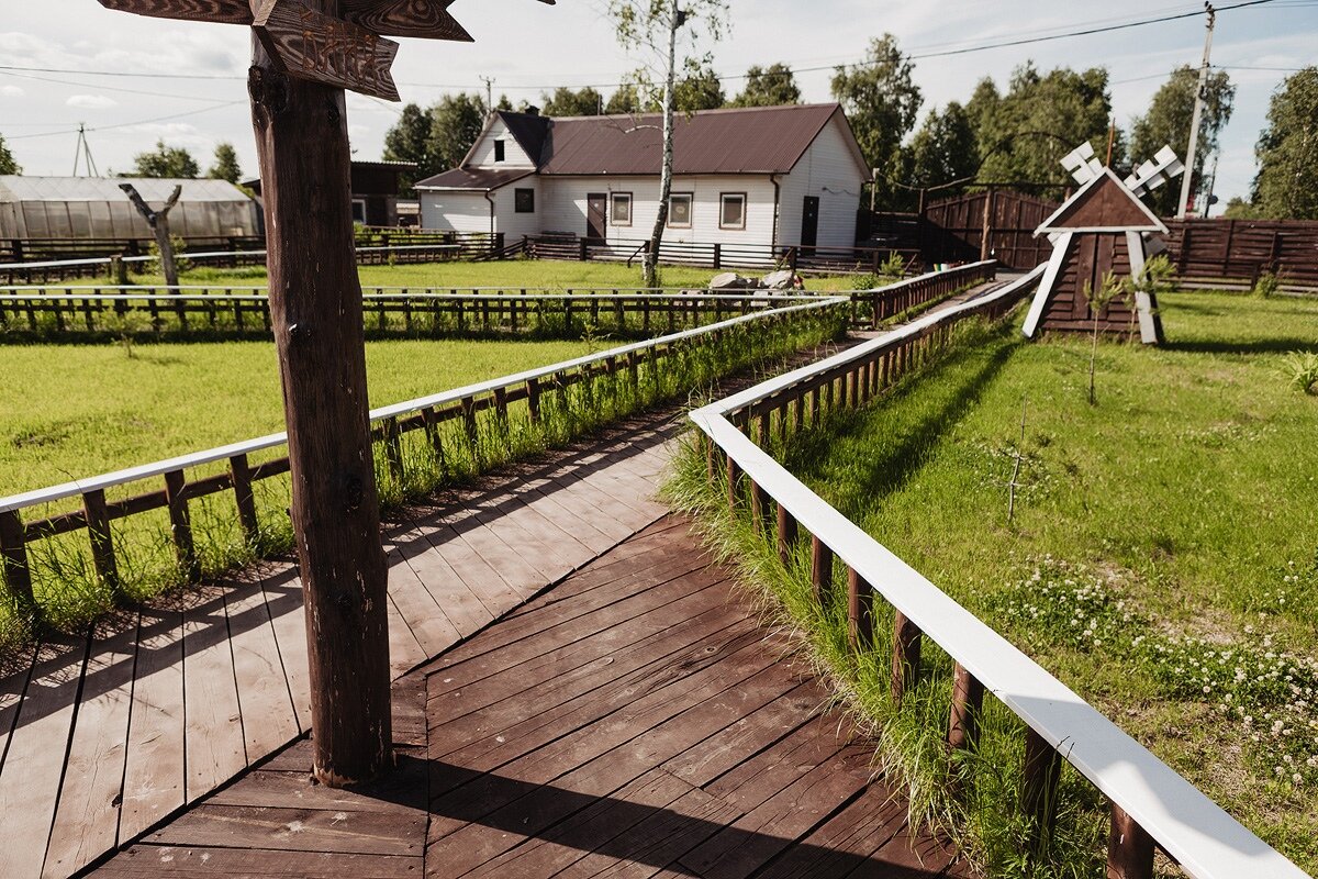 Фото Поле Чудес