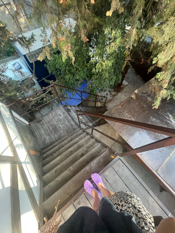 Фото Zёbra House