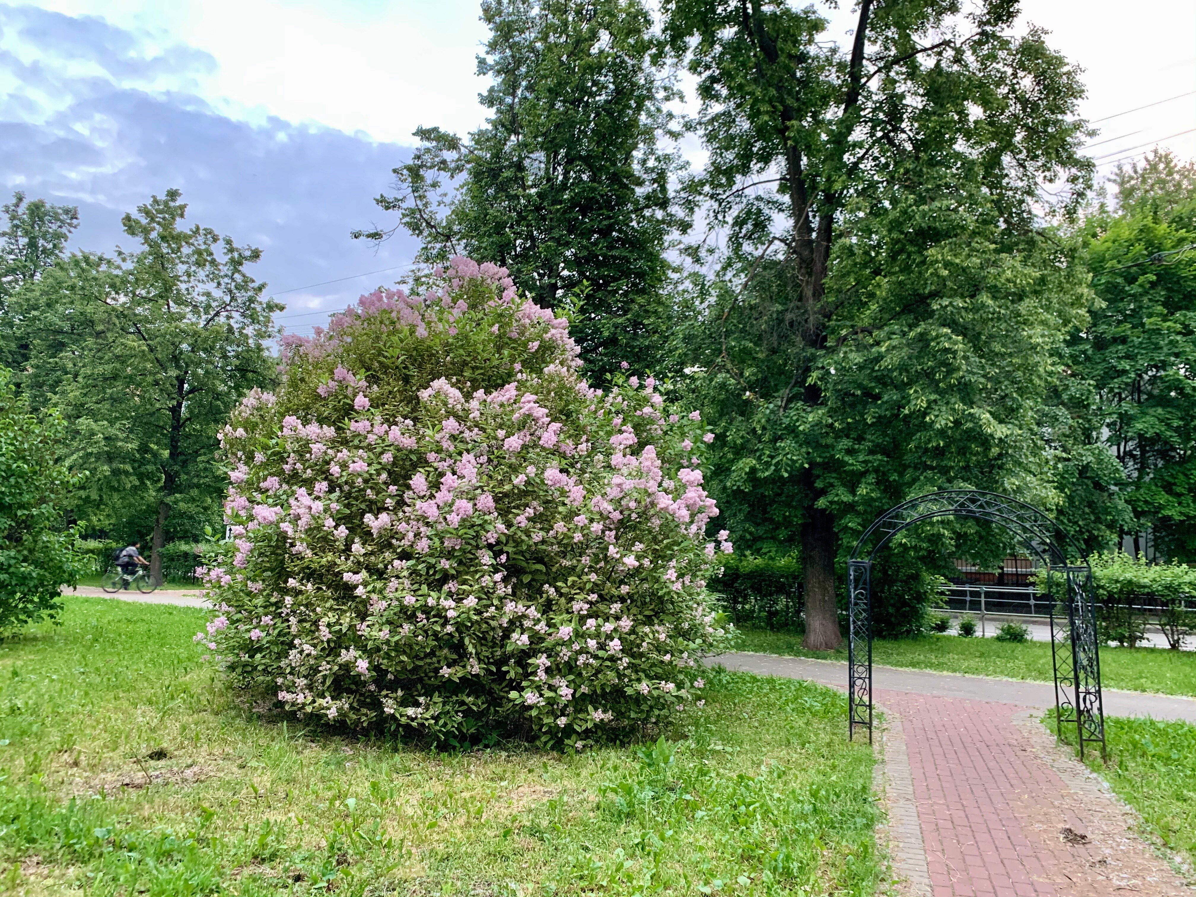 Фото Comfort & Relax Home for your family