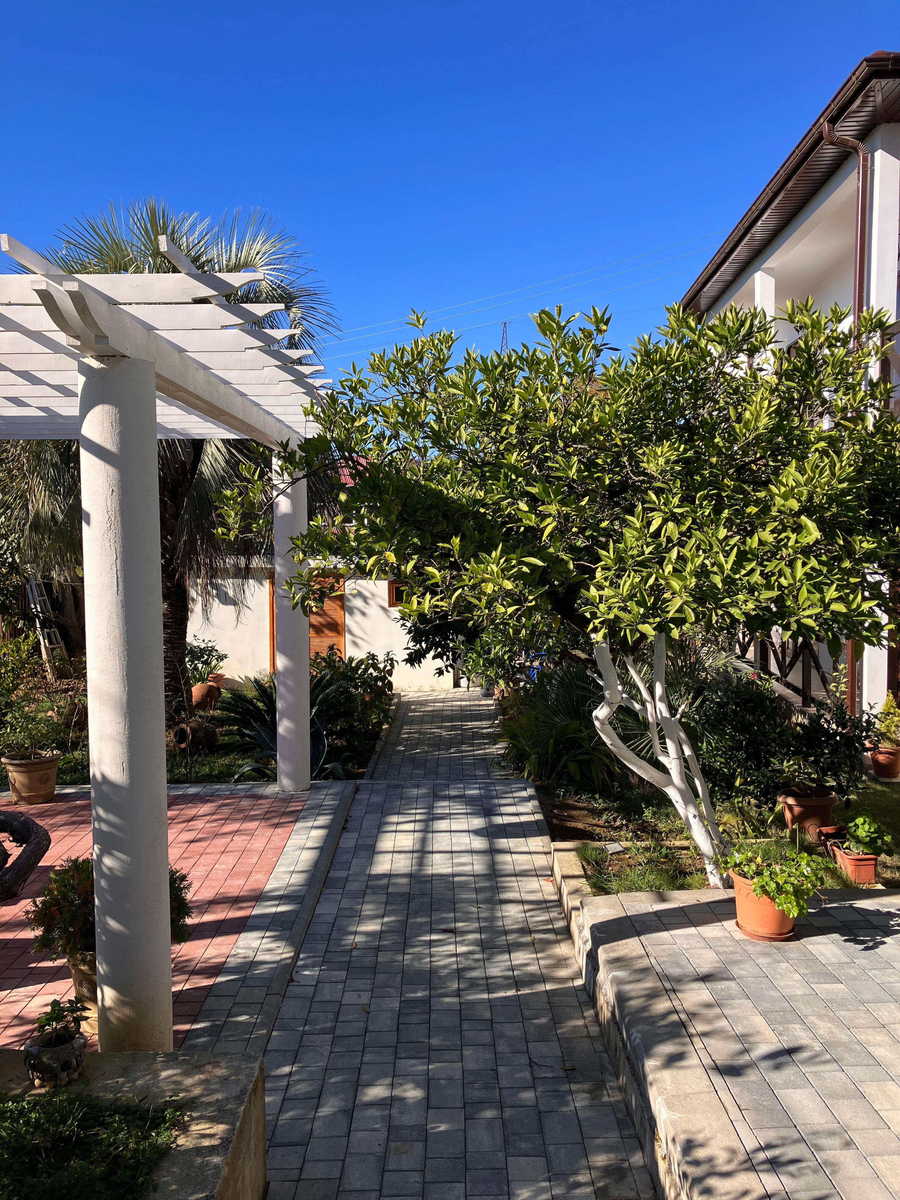 Фото Лермонтов