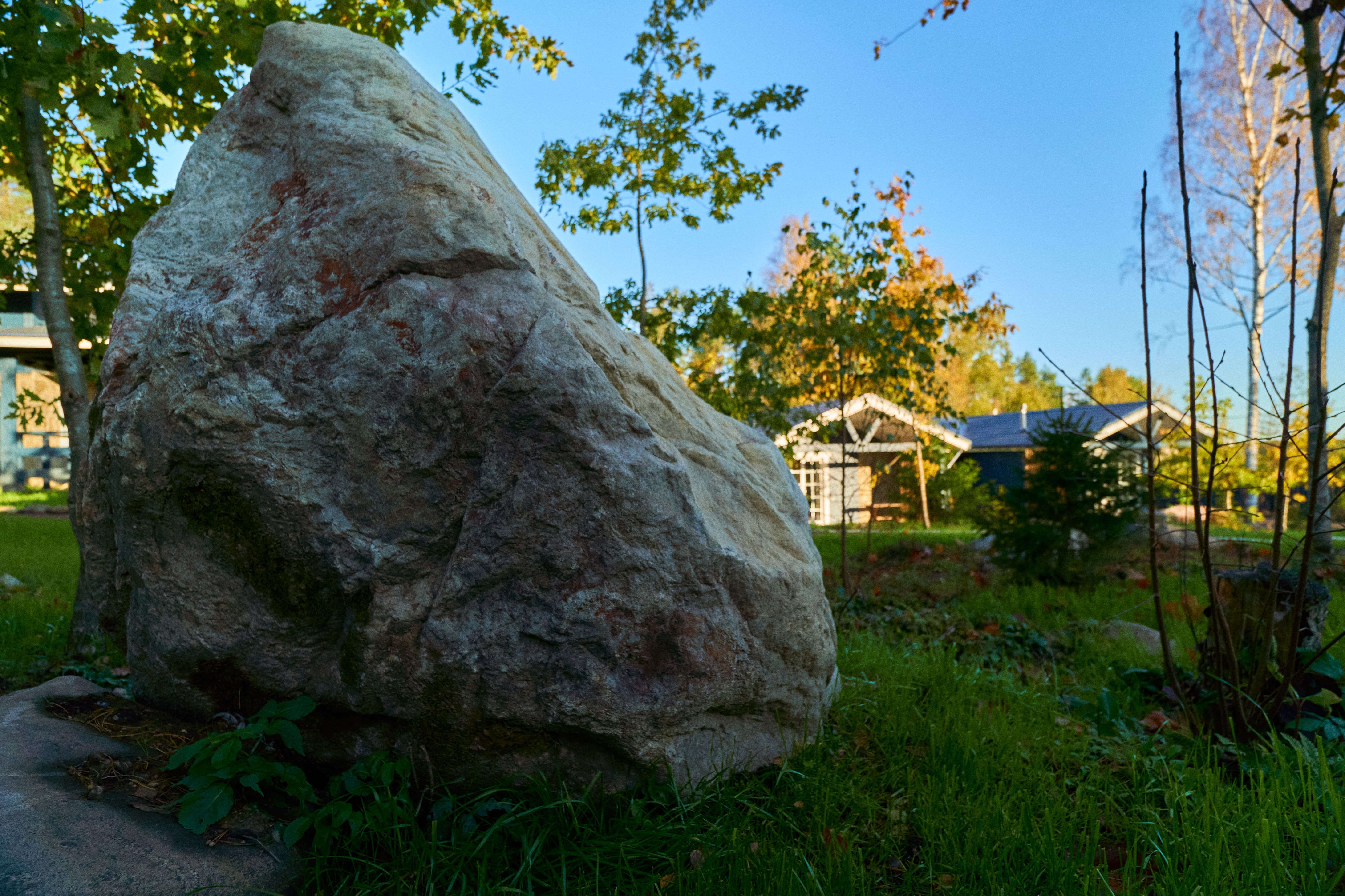 Фото Талони