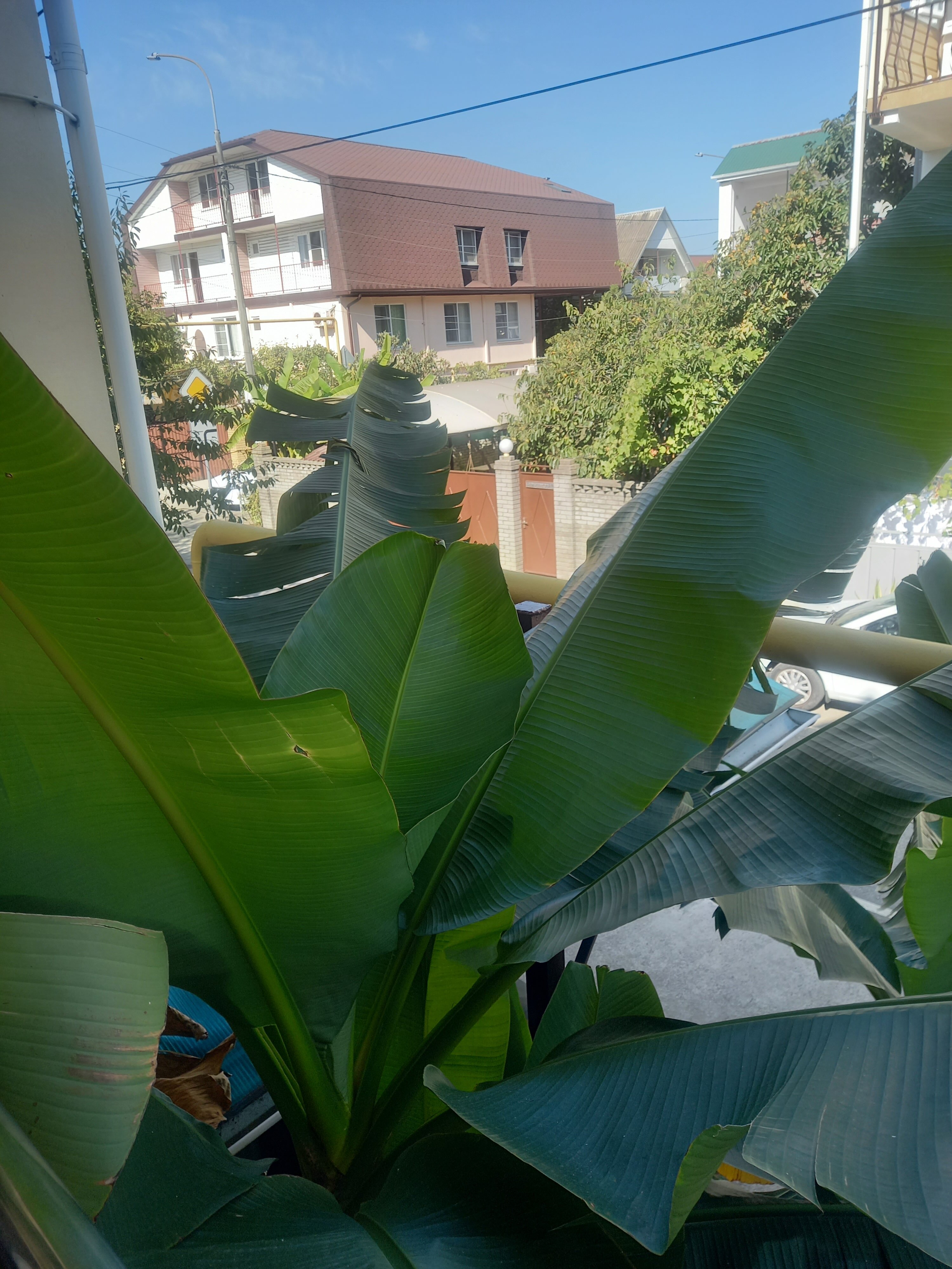 Фото АнжеликА