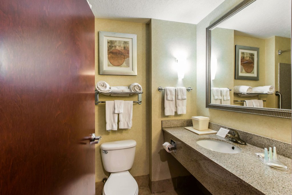 Фото Comfort Suites Forsyth near I-75