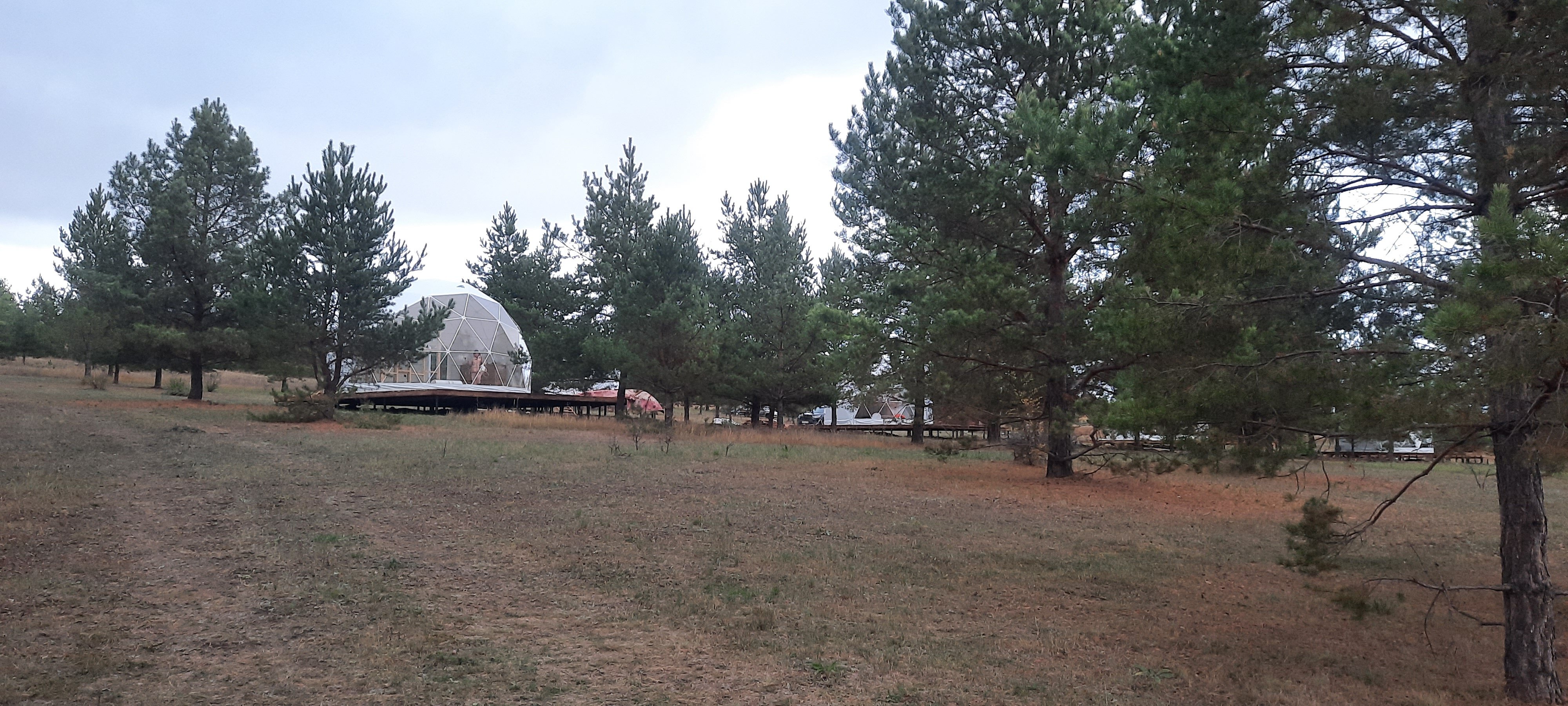 Фото Глэмпберри