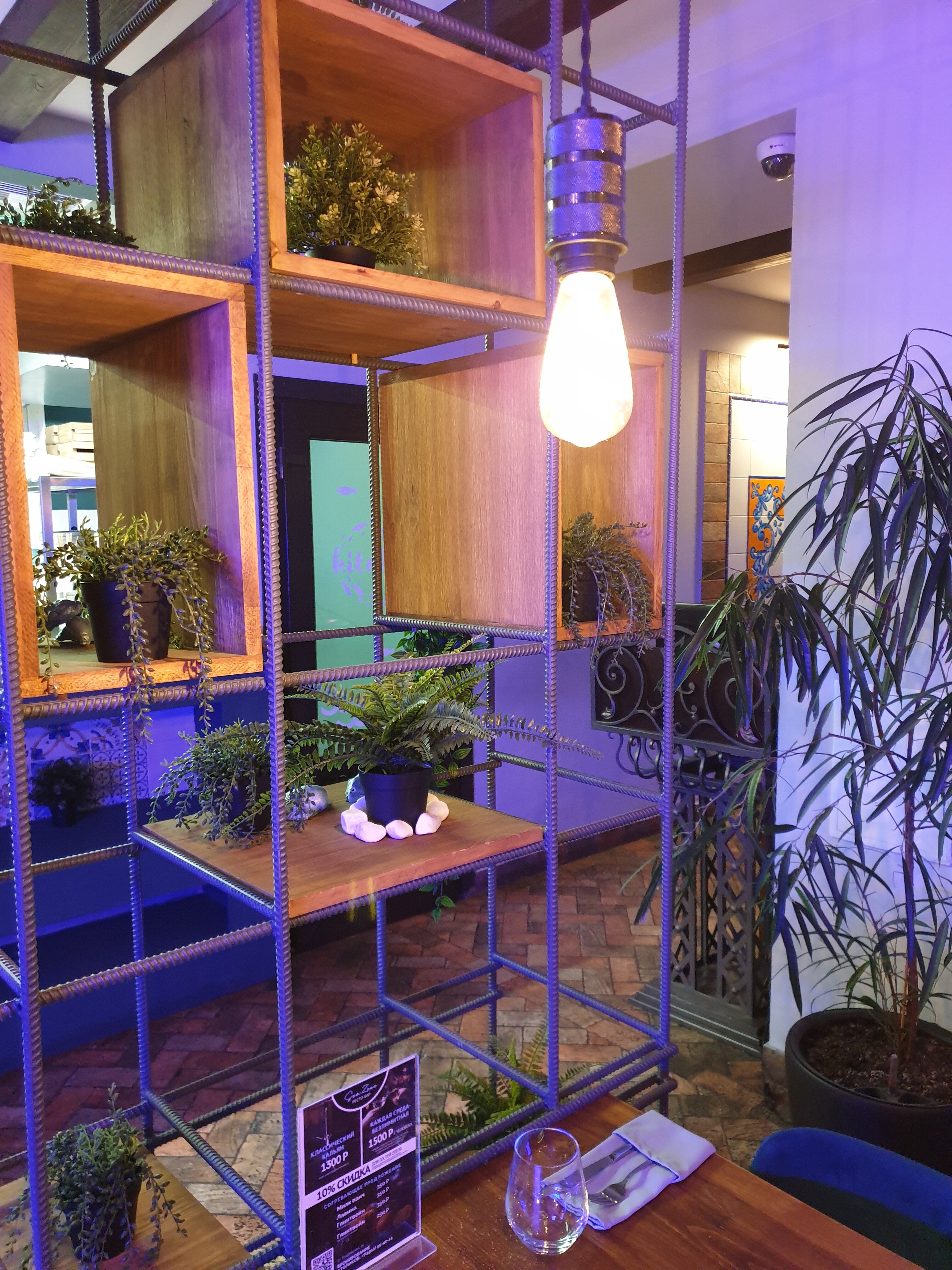 Фото Арагон