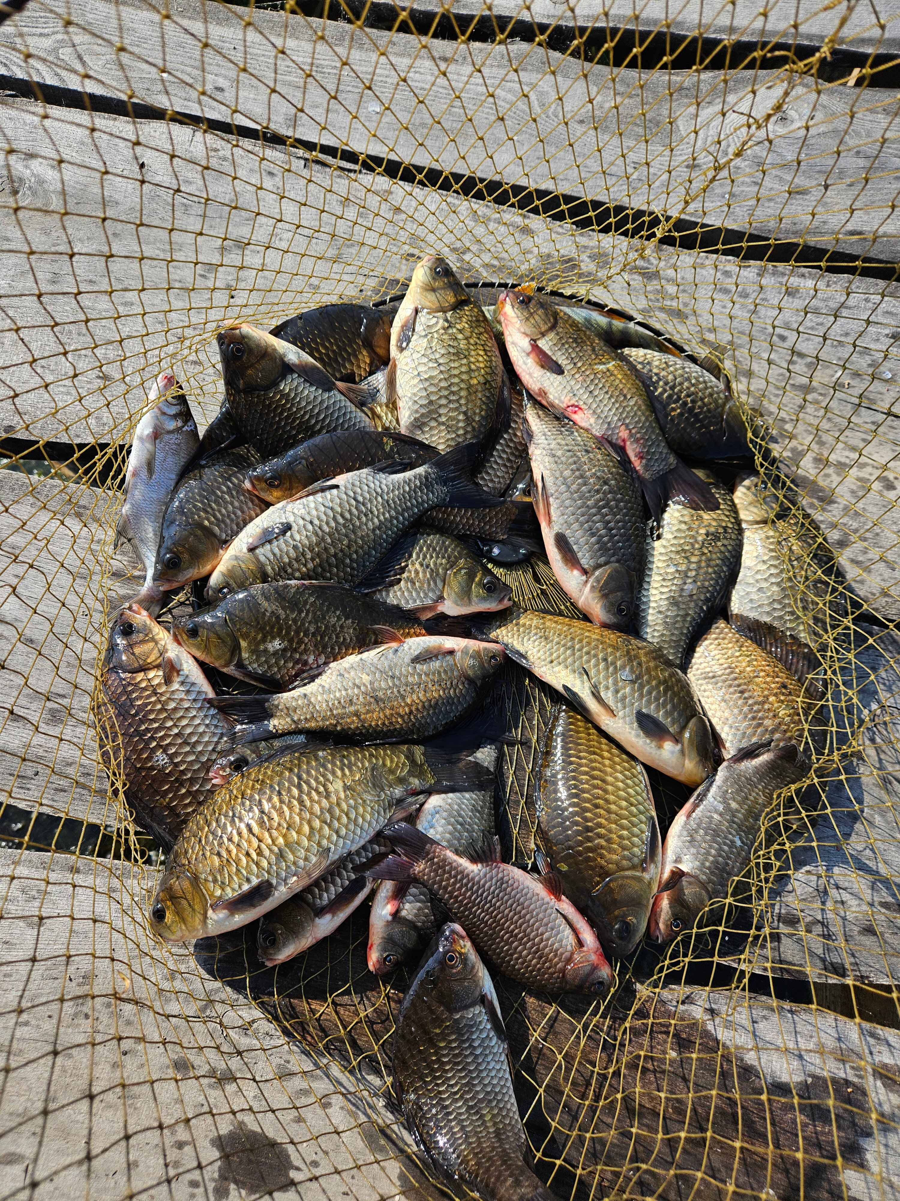 Фото Кубанский хуторок