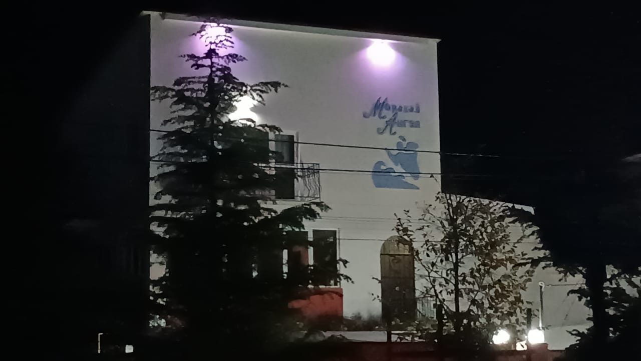 Фото Морской ангел