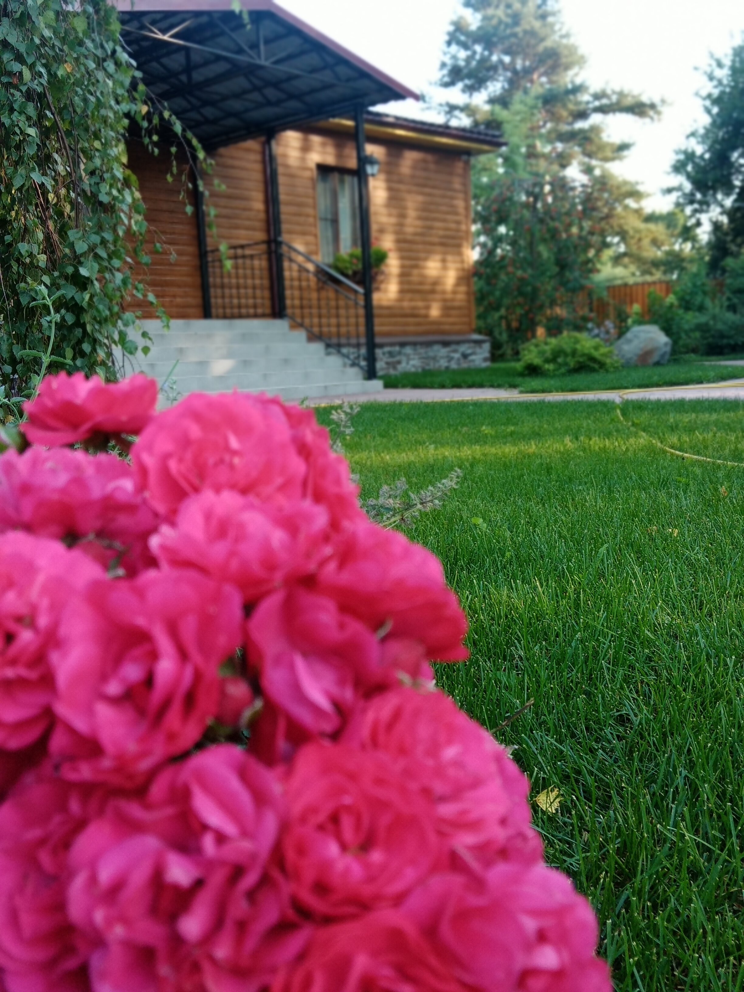 Фото Вокруг света