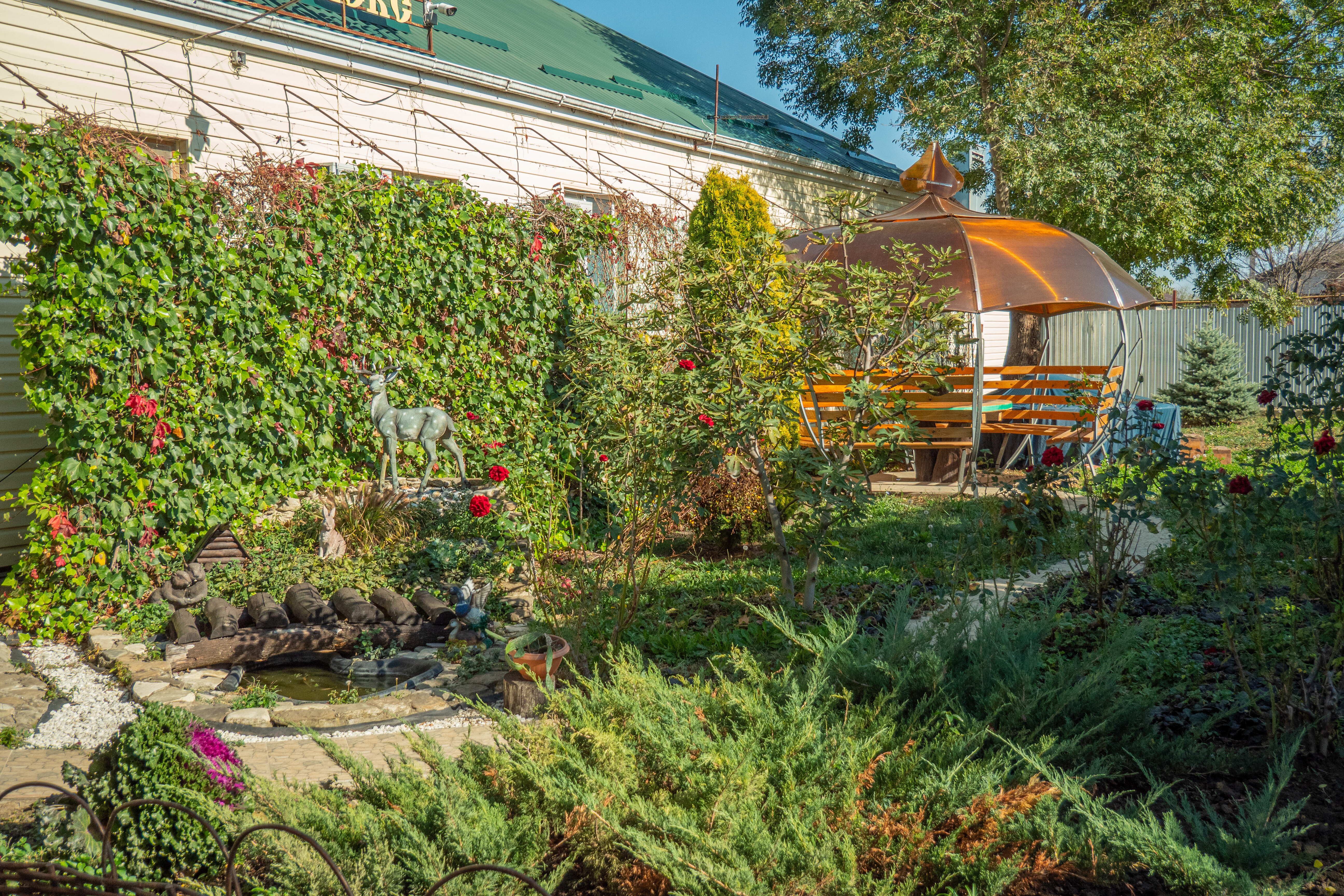 Фото Курени