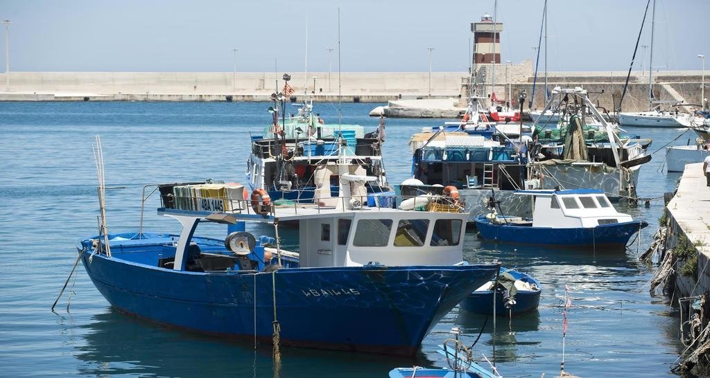 Фото Santa Maria 24 Guest House