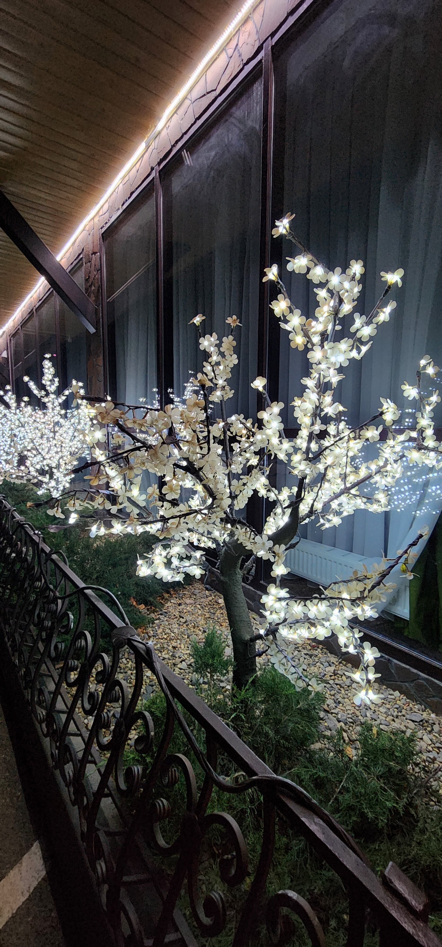 Фото Куршевель