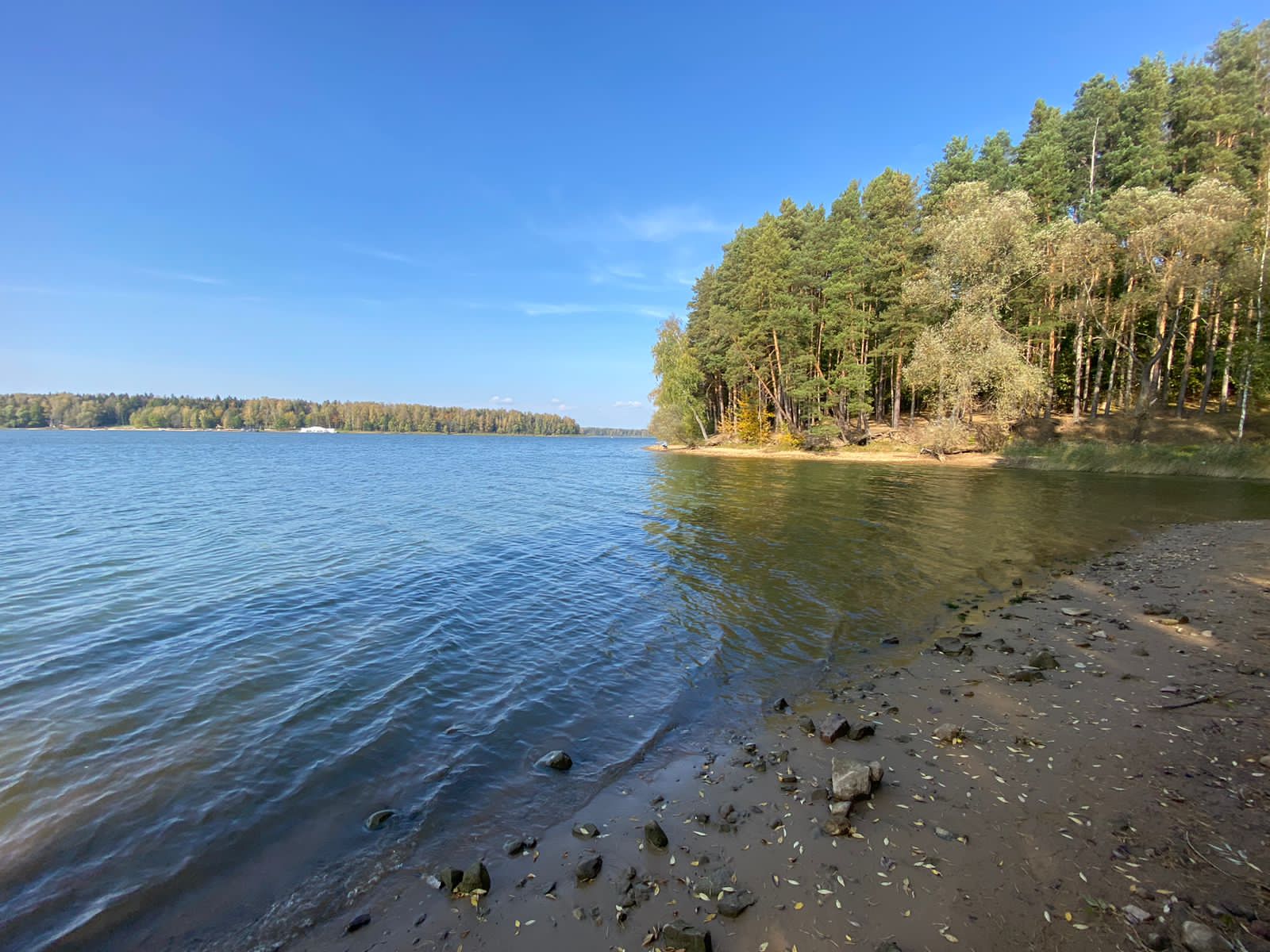 Фото Вилла Форца