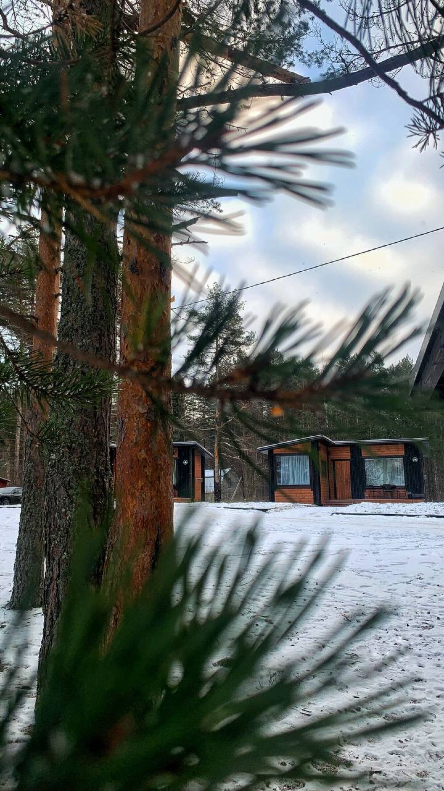 Фото Кангас