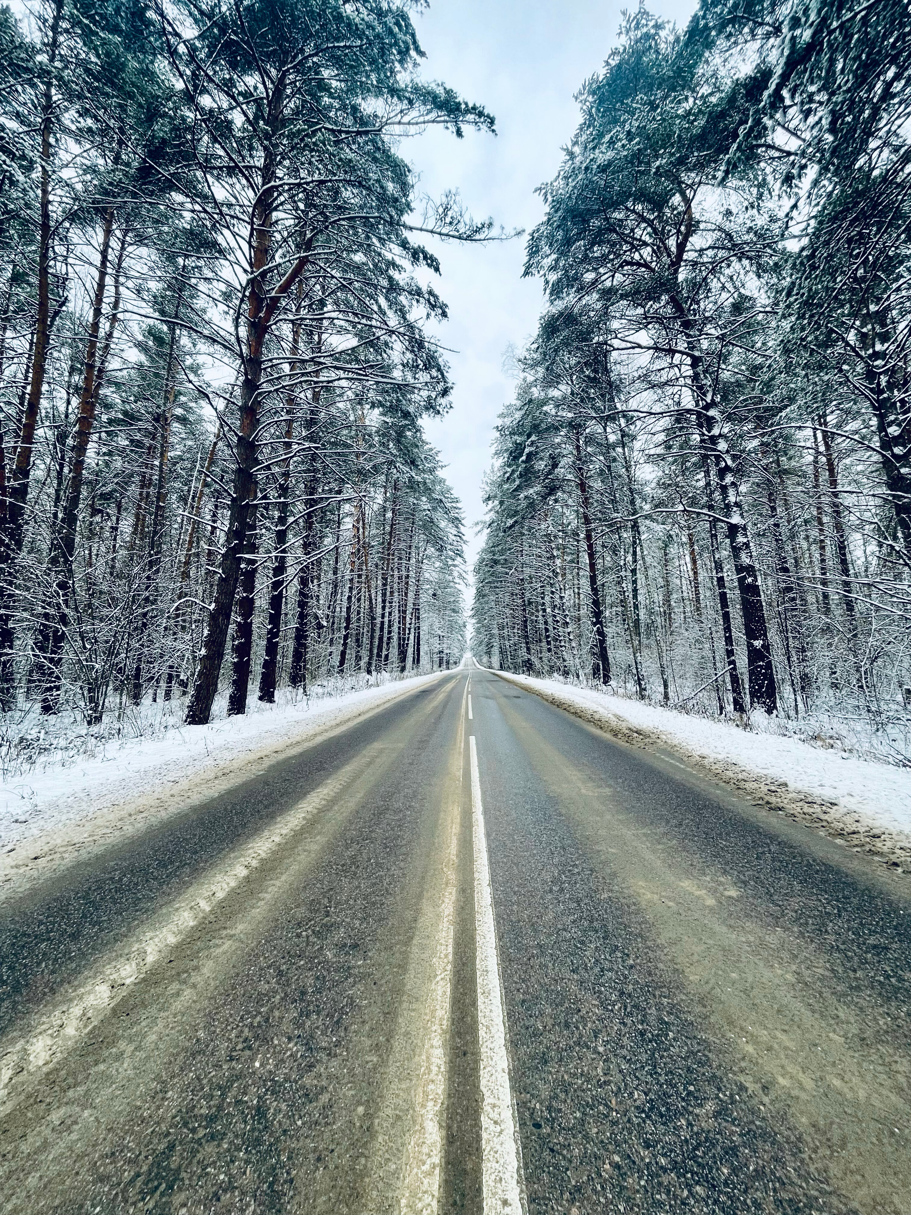 Фото Подосинки-парк