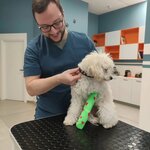 Veterinarska Ambulanta A Z Vet (Jurija Gagarina Street, 22K), veterinary clinic