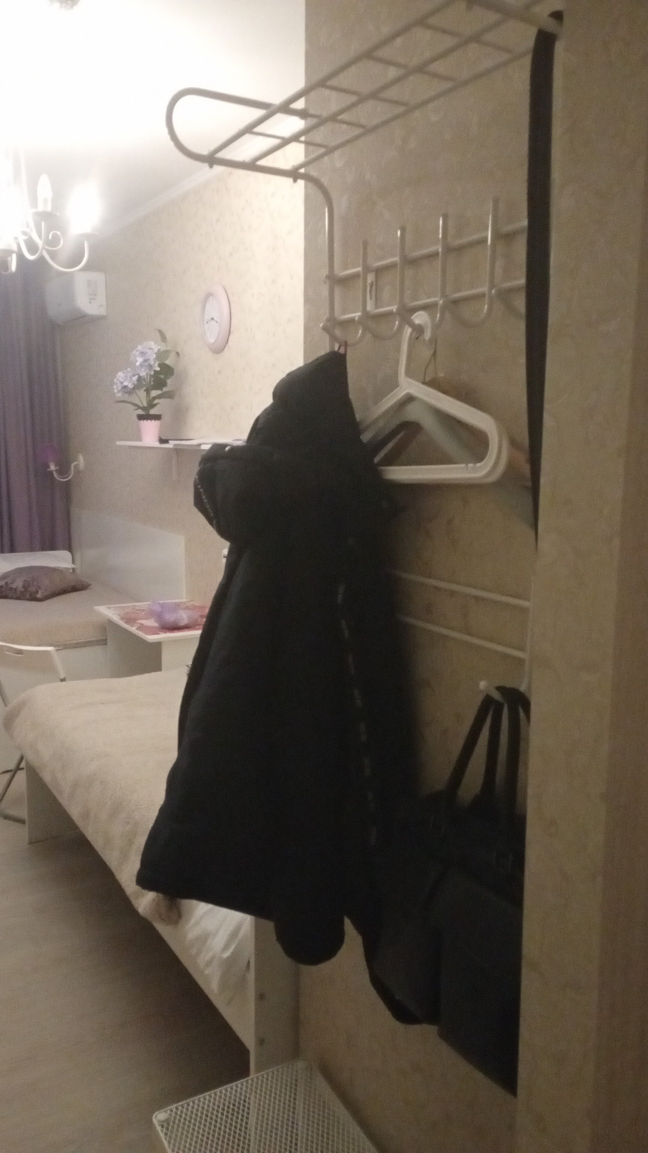 Фото Crocus Star