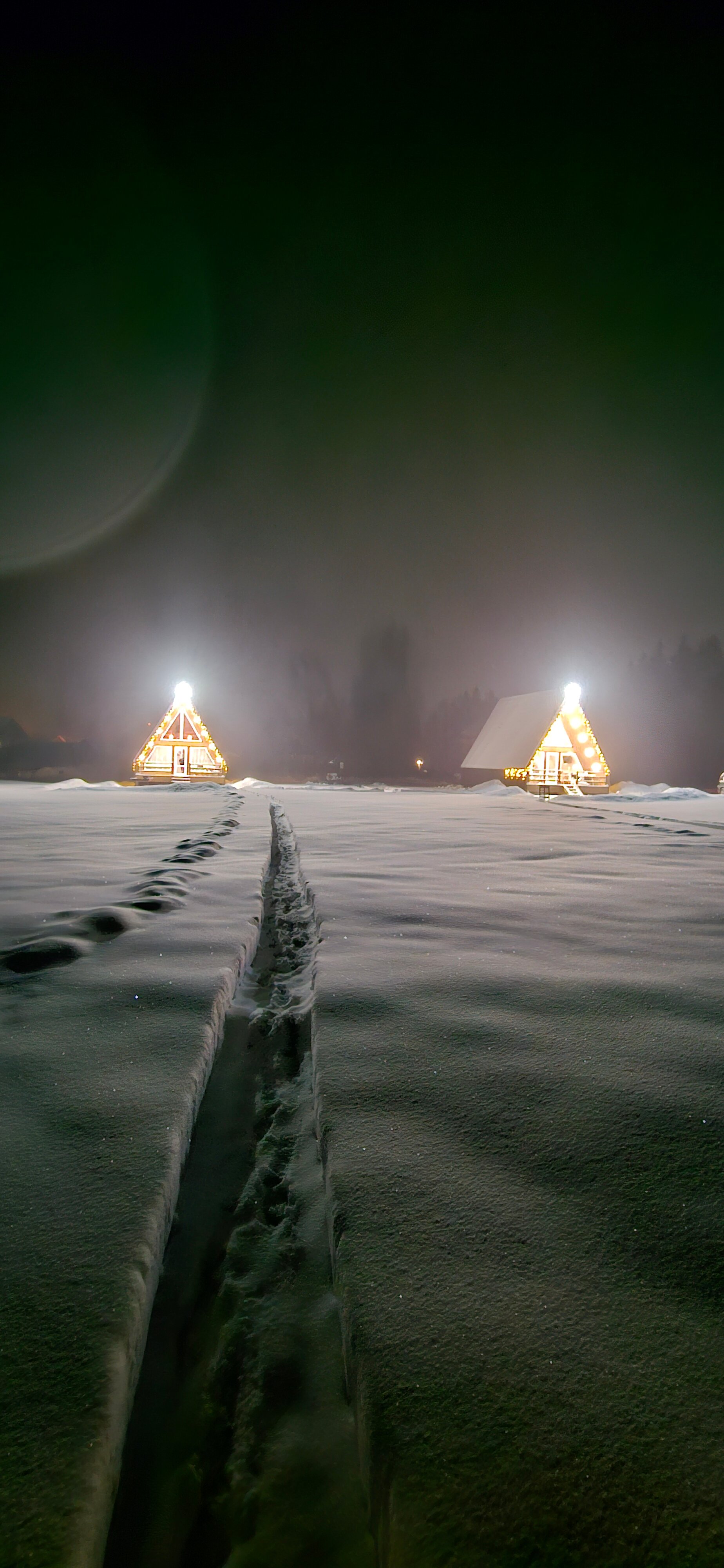Фото Волшебный лес