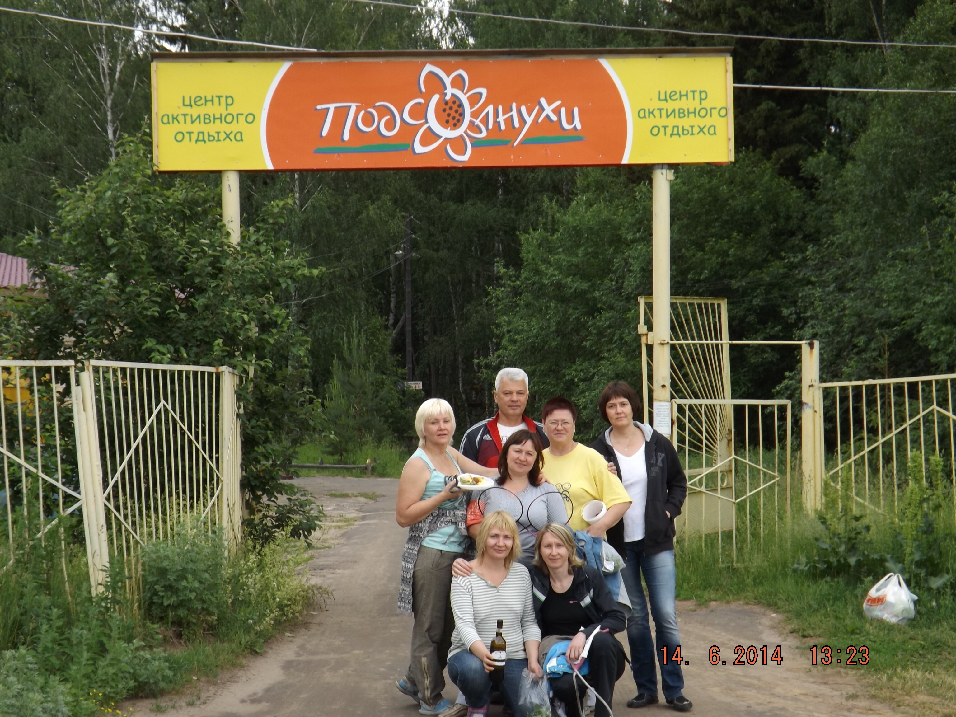 Фото Подсолнухи