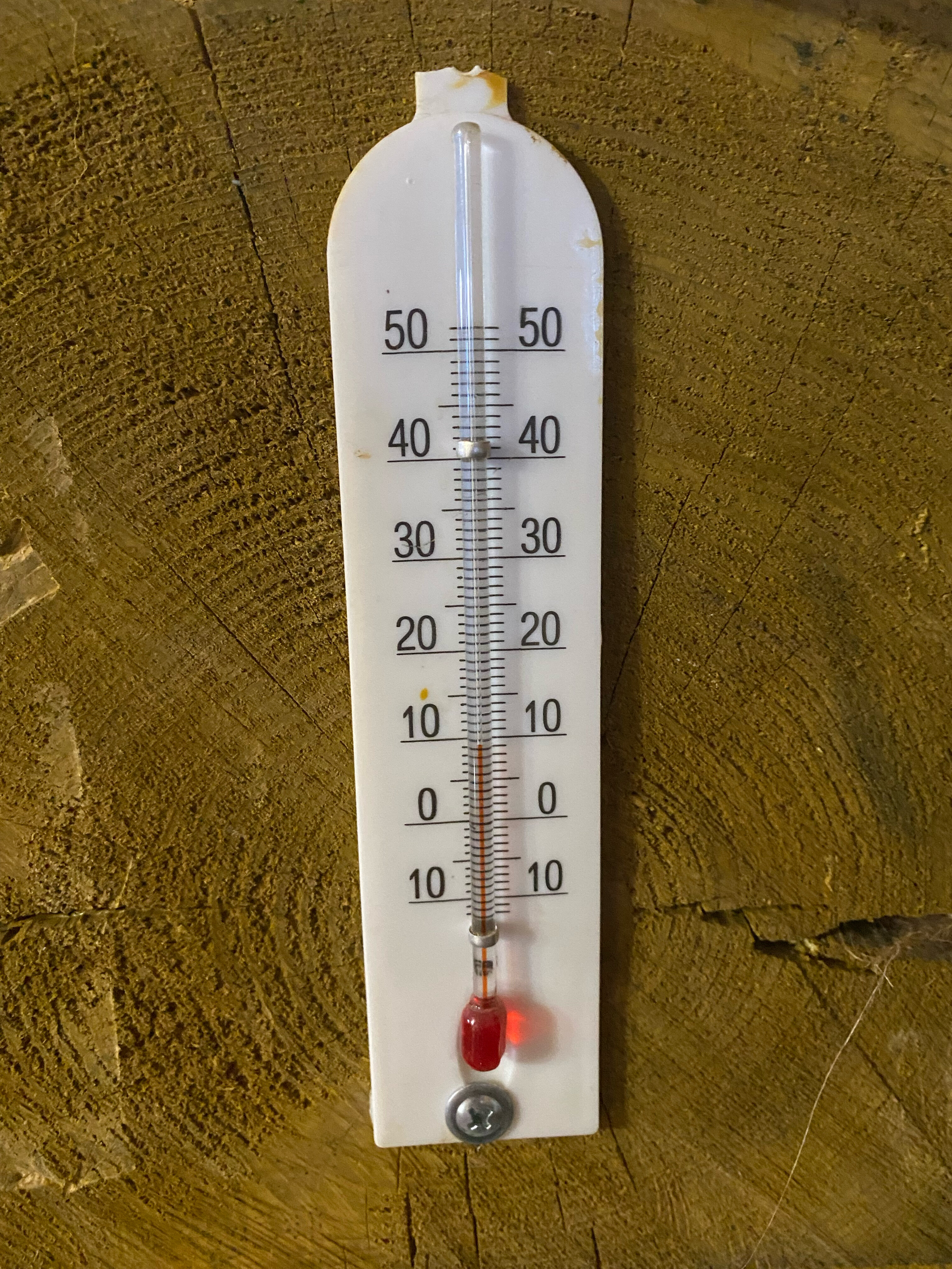 Фото Сила Сибири