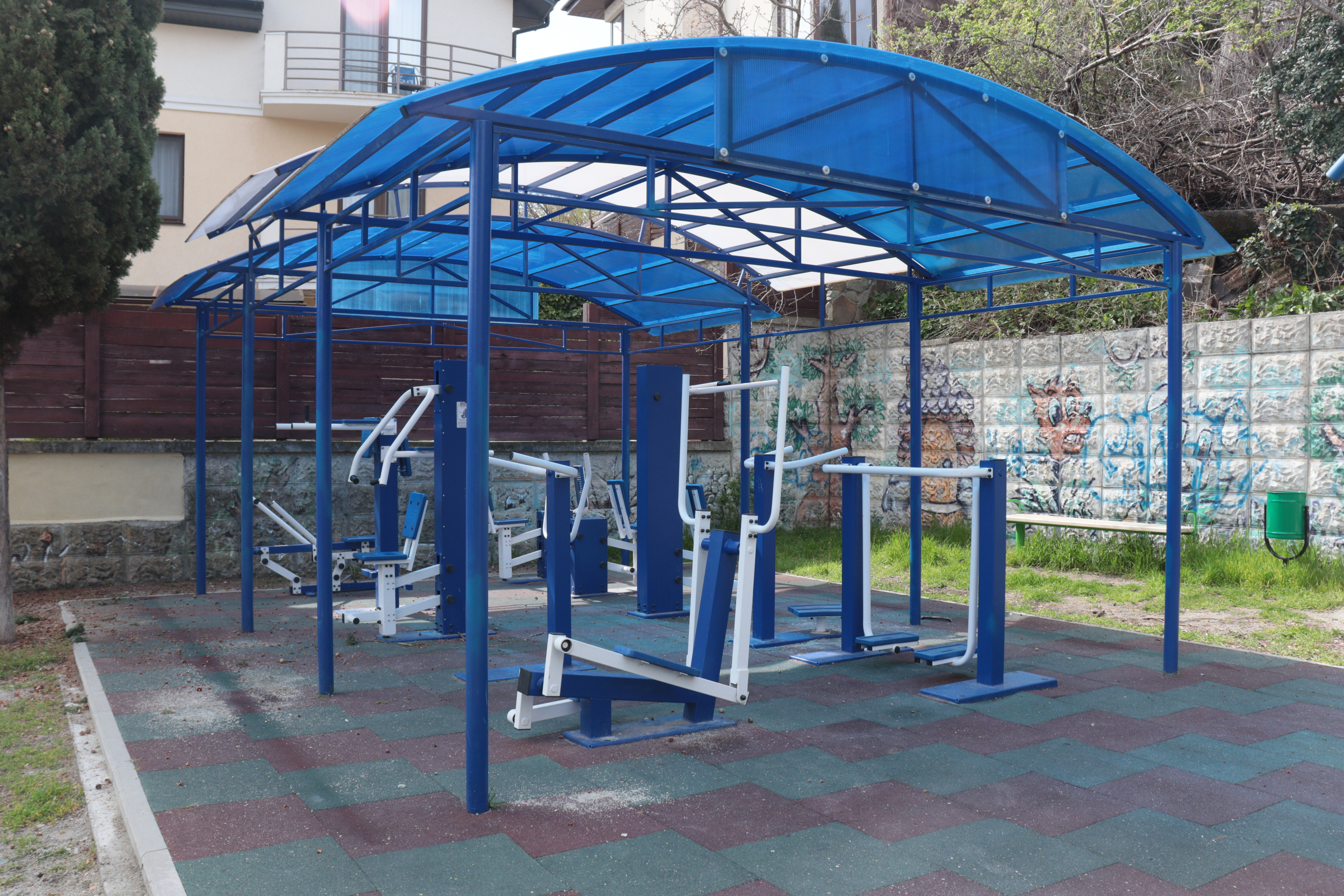 Фото Рапана