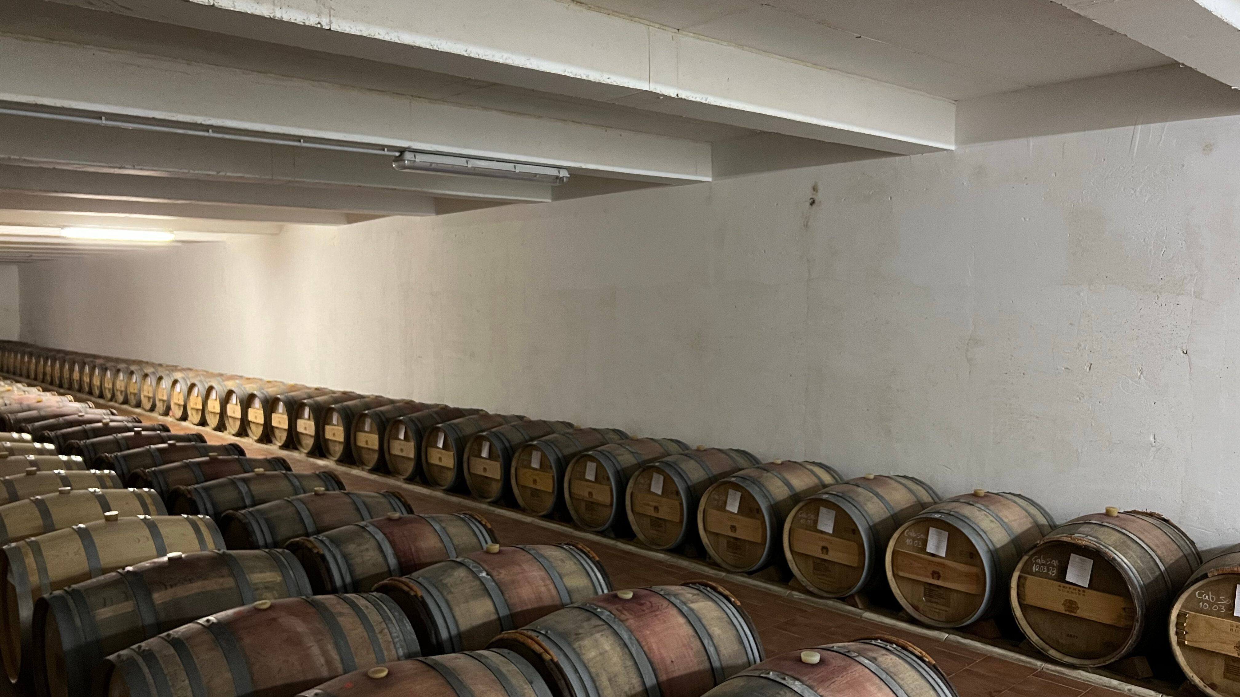 Фото Бюрнье