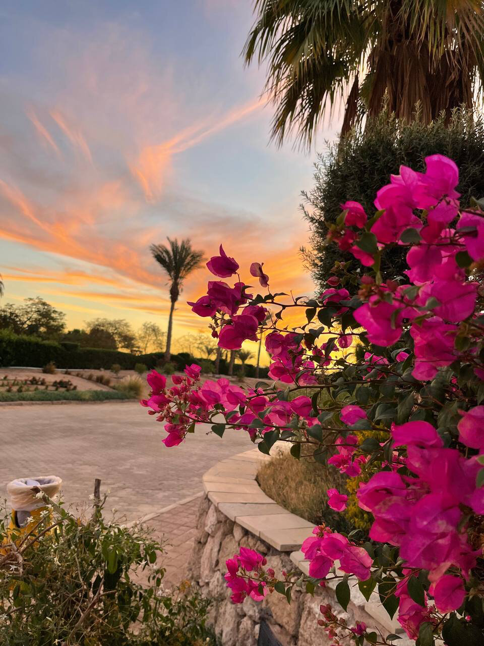 Фото Eden Rock Hotel