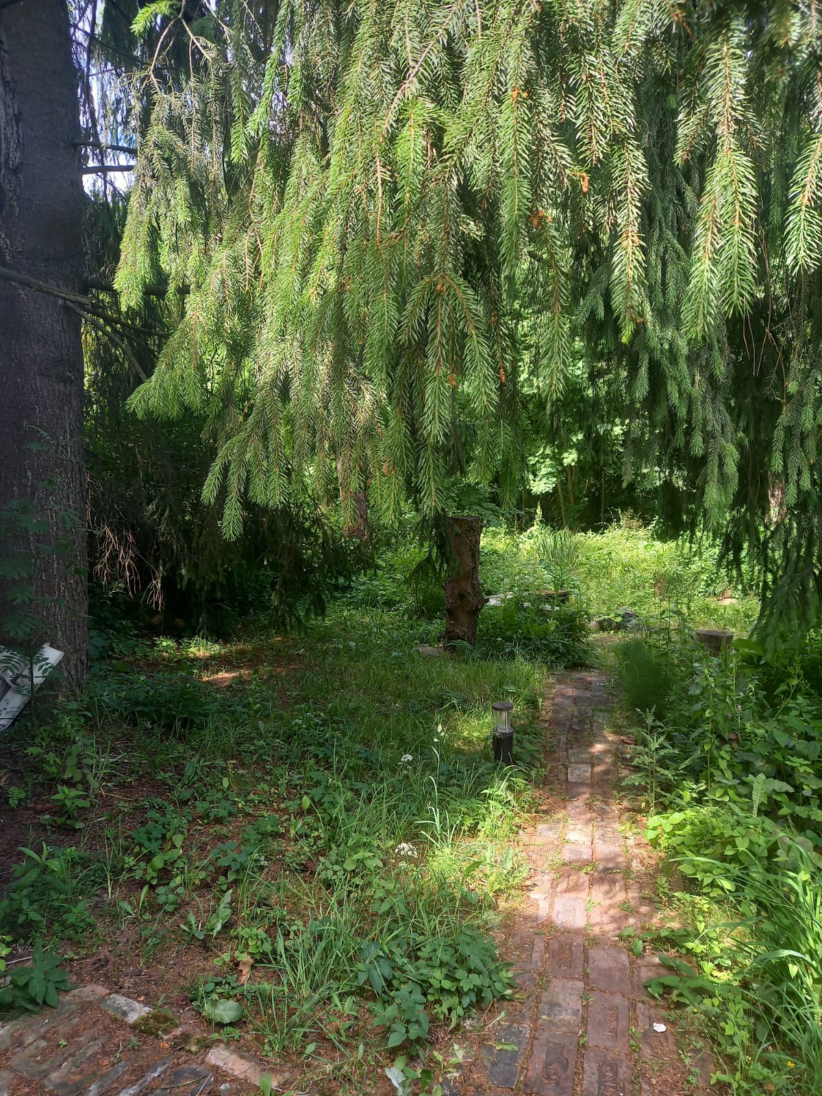 Фото Тарховка