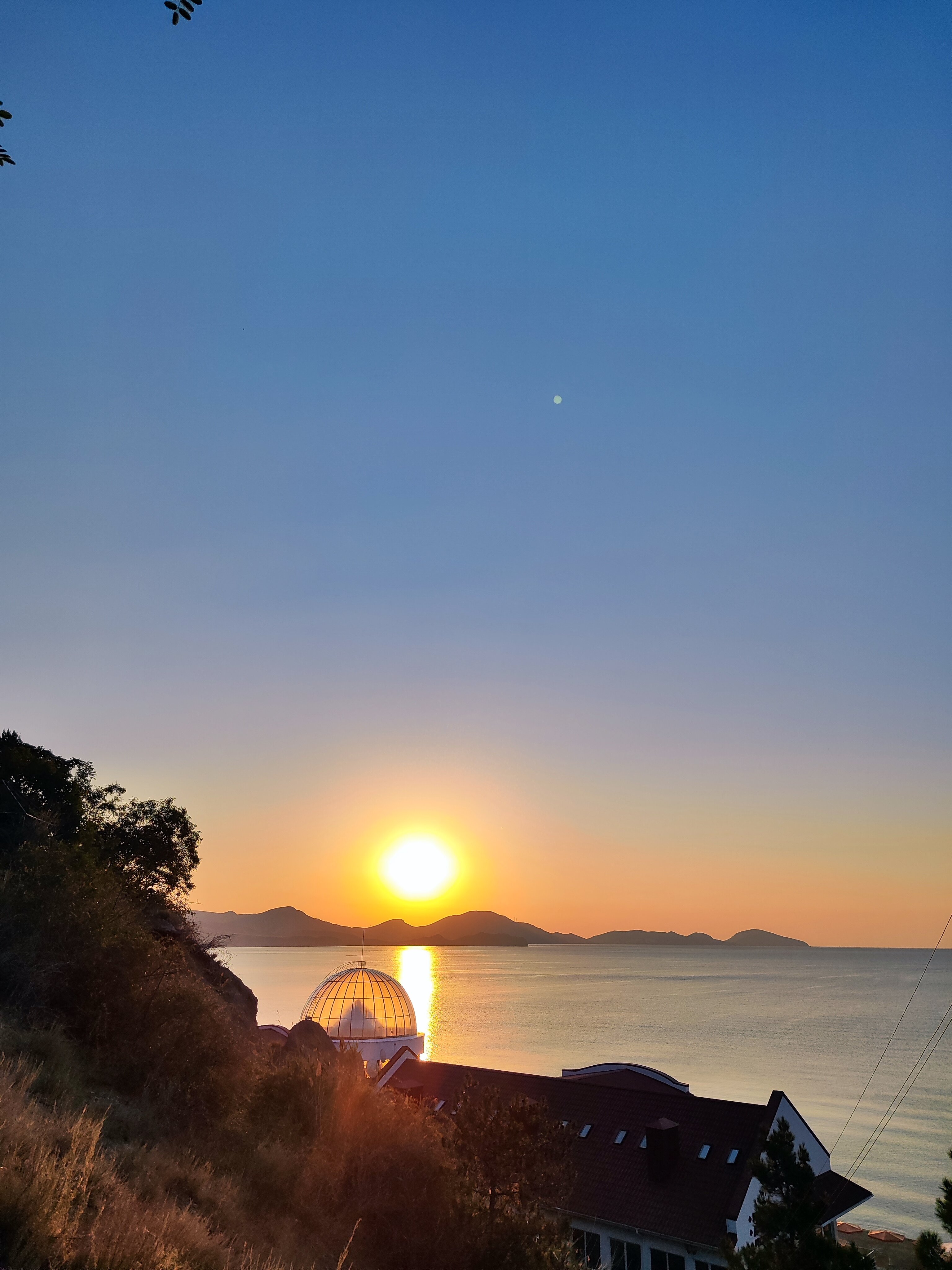 Фото Белый Грифон